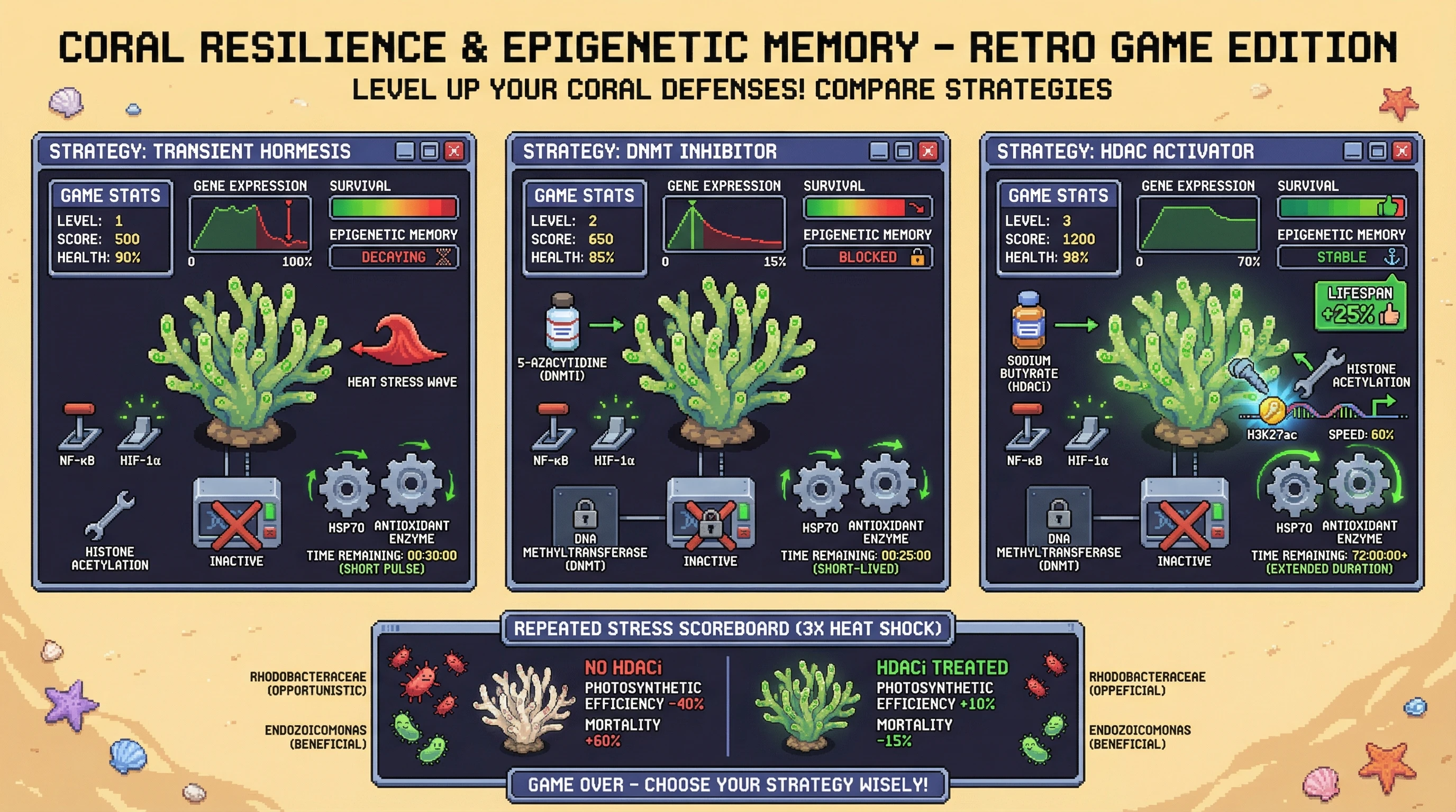 Infographic for: Hormetic priming in corals fails to establish epigenetic memory, causing transient protection and cumulative exhaustion under repeated stress