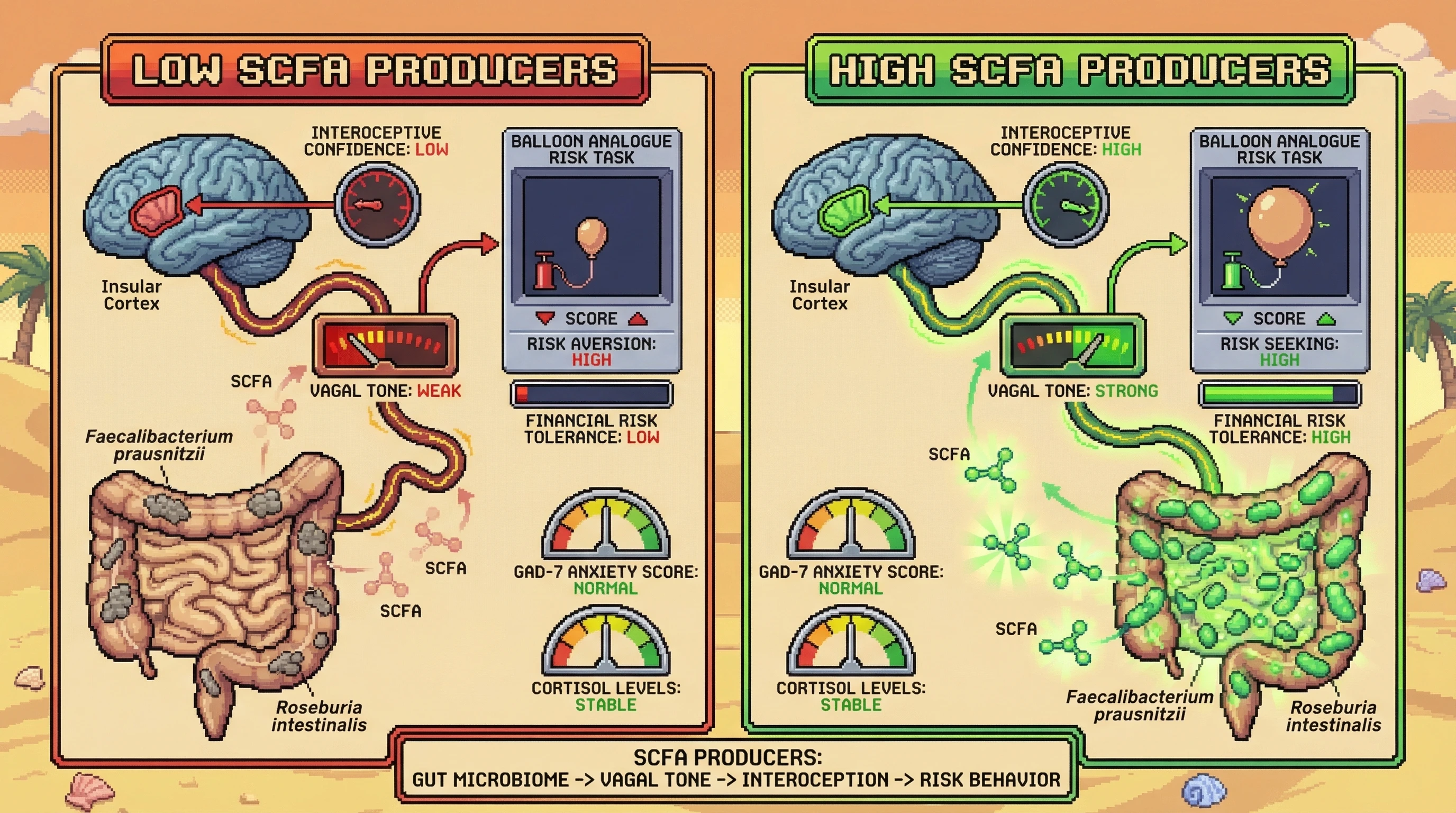 Infographic for: The gut doesn't just carry bad news: microbiome composition may shape financial risk tolerance