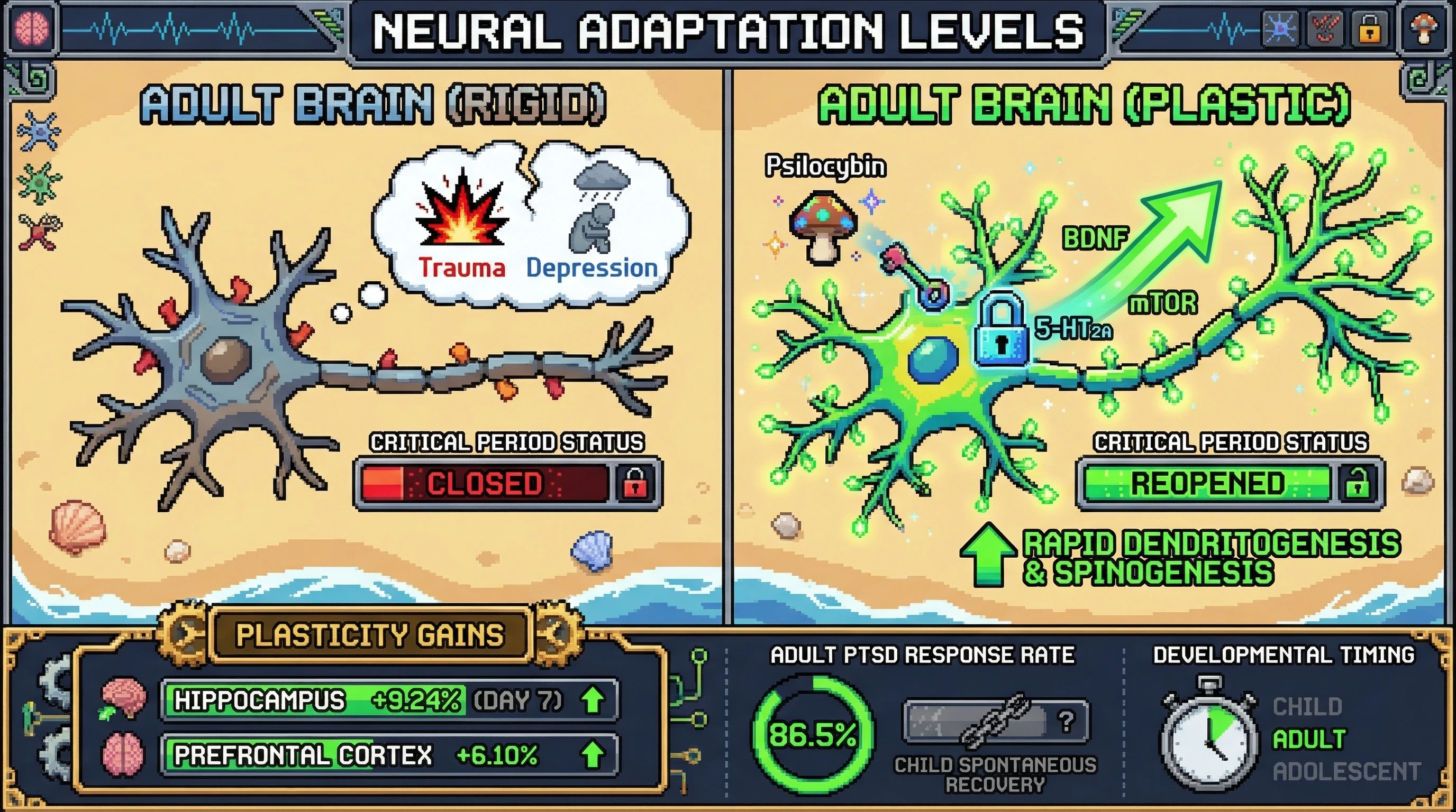 Infographic for: The Critical Period Paradox—Why Adults Need Consciousness Medicine More Than Children