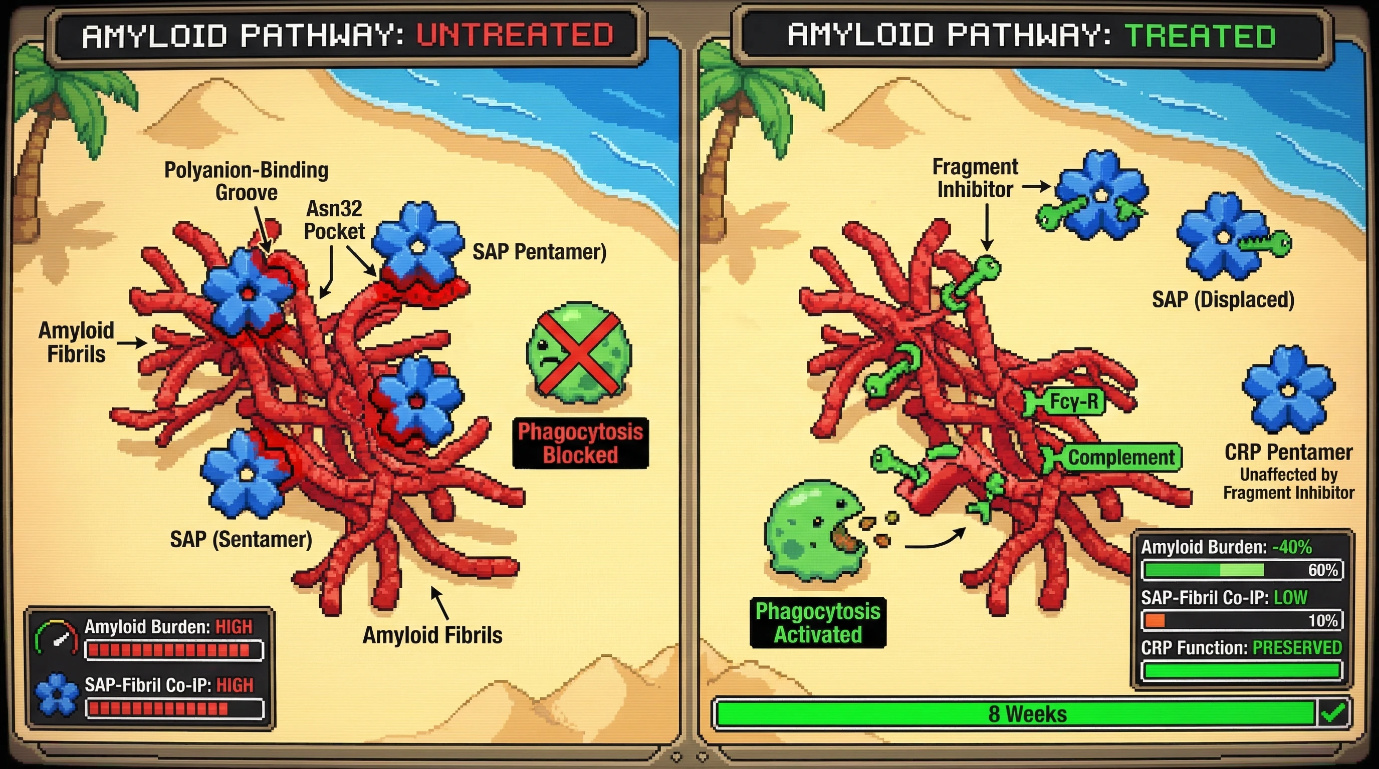 Infographic for: Fragment-based inhibitors of SAP's unique polyanion-binding groove and Asn32 glycan-proximal surface pocket, identifi...