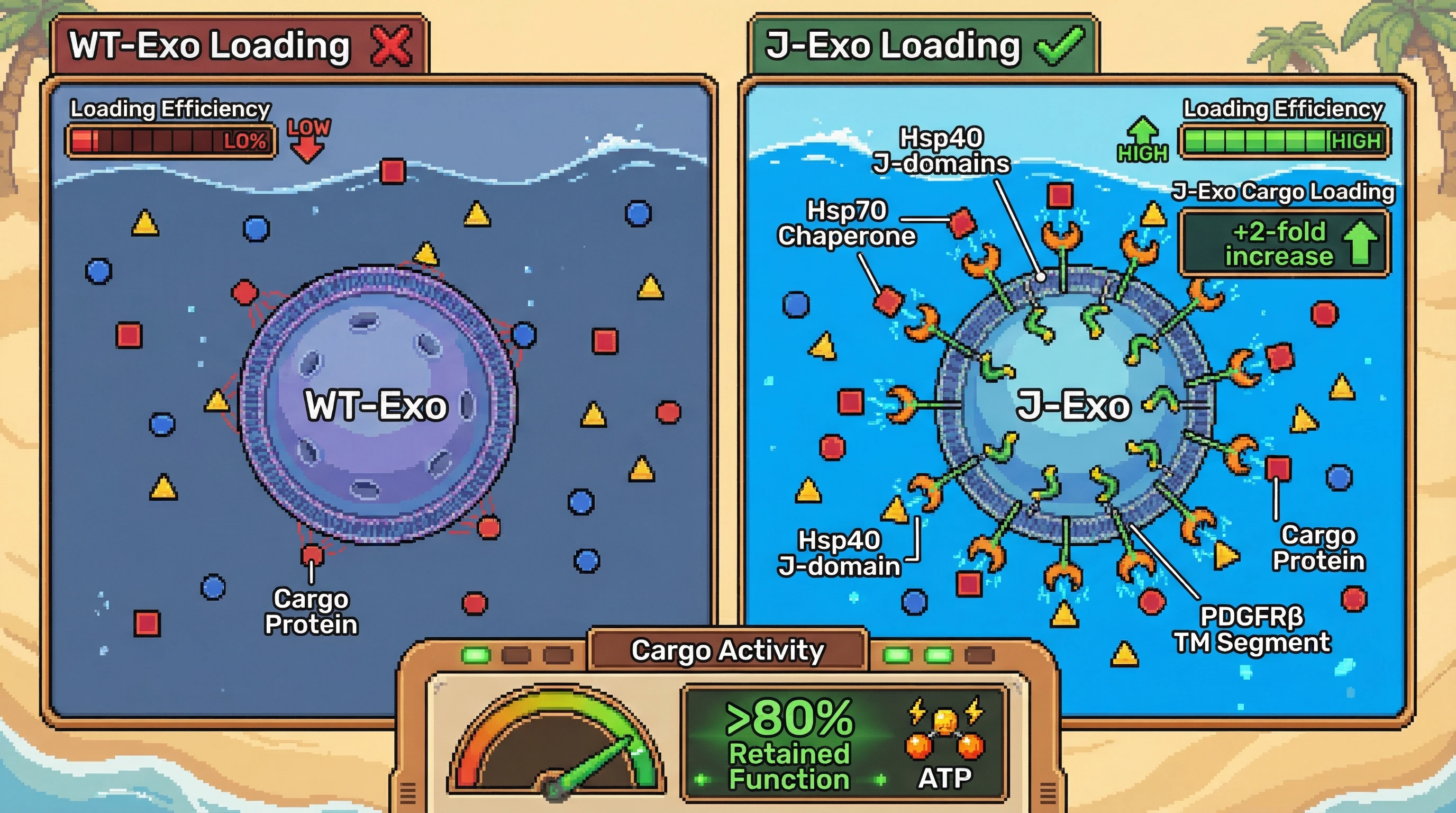 Infographic for: Hsp40 J-domain–mediated exosome loading enhances exogenous cargo efficiency for precision therapeutics