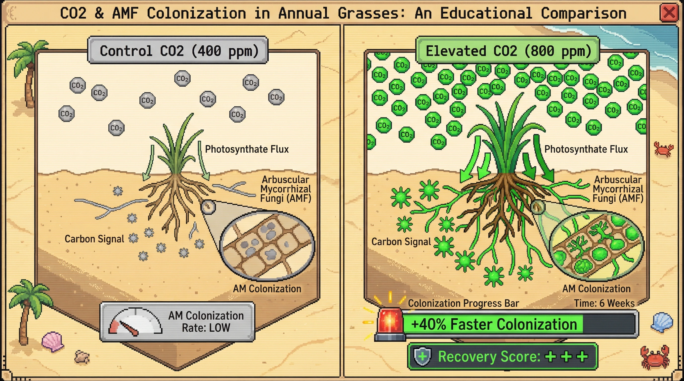 Infographic for: Elevated CO2 Accelerates Mycorrhizal Colonization in Pioneer Plants via Root Carbon Flux