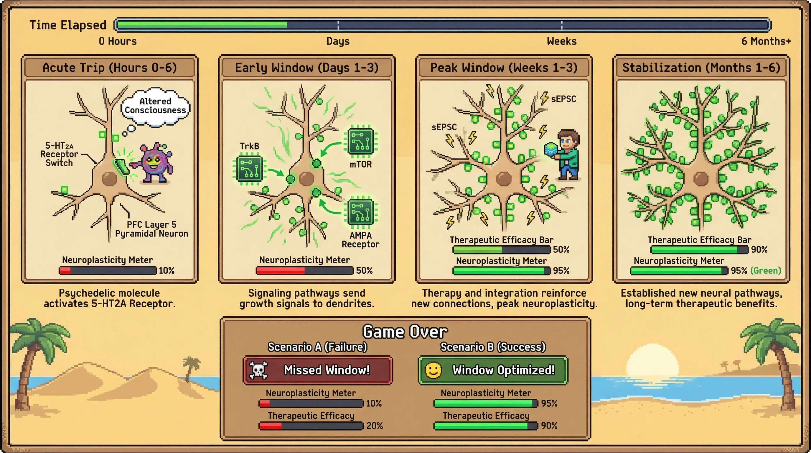Infographic for: Psychedelics Open 3-Week Neuroplasticity Windows—The Therapeutic Magic Happens After the Trip Ends