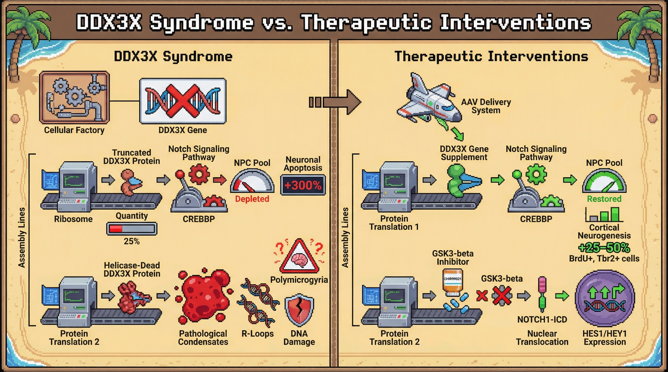 Infographic for: DDX3X Syndrome: Variant-Stratified Therapeutic Landscape for a Loss-of-Function RNA Helicase Disorder