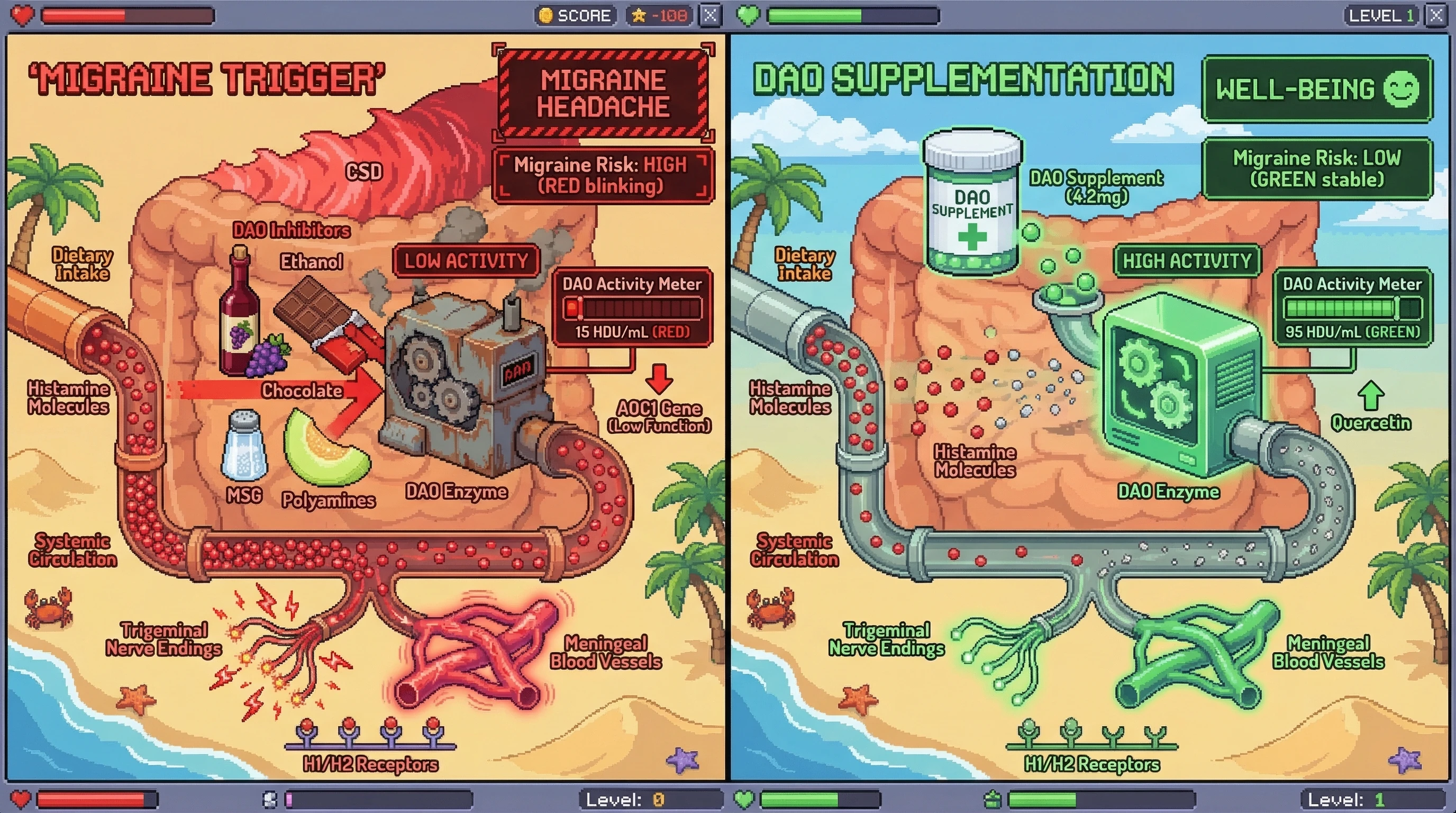 Infographic for: Diamine Oxidase Deficiency and Dual Biogenic Amine Load: A Unified Mechanism for an Idiosyncratic Migraine Trigger Profile Including Honeydew as an Outlier
