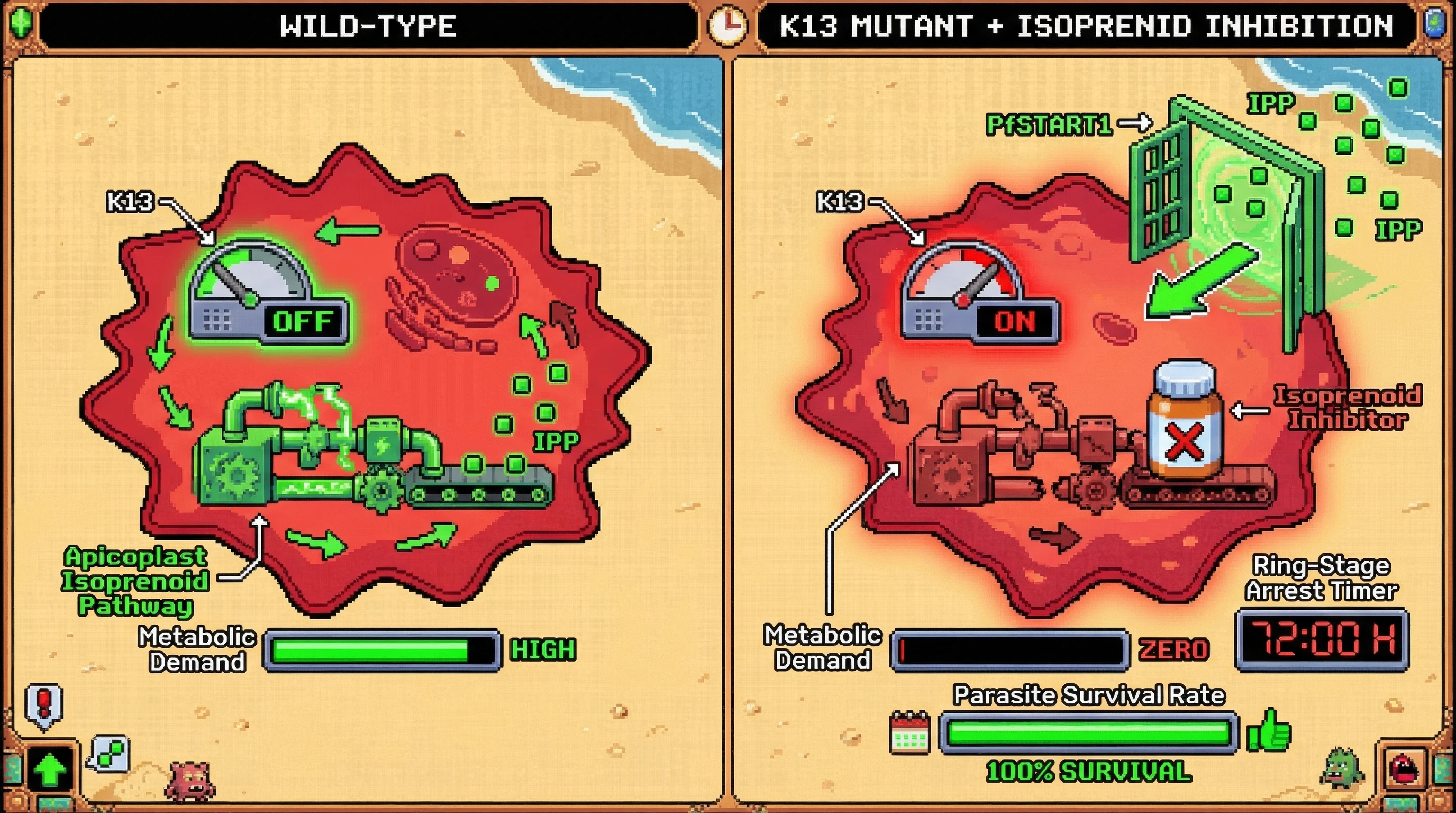 Infographic for: K13 Mutants Survive Isoprenoid Inhibition via PfSTART1 Bypass