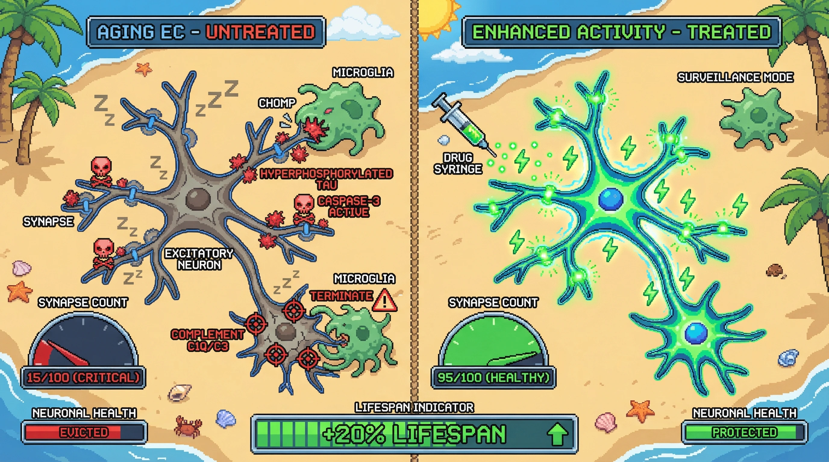 Infographic for: Activity‑Dependent Tau Tagging Links Synaptic Pruning to Neuronal Eviction in Aging Entorhinal Cortex