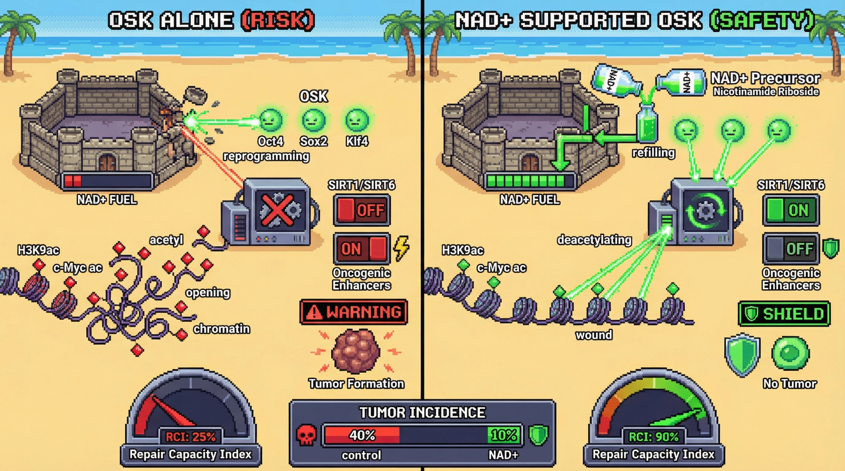 Infographic for: NAD+ as a Metabolic Checkpoint that Gates Safe Epigenetic Reprogramming: Sustaining Youthful NAD+ Levels During Intermittent OSK Dosing Reduces Oncogenic Risk by Enhancing SIRT‑Mediated Chromatin Fidelity