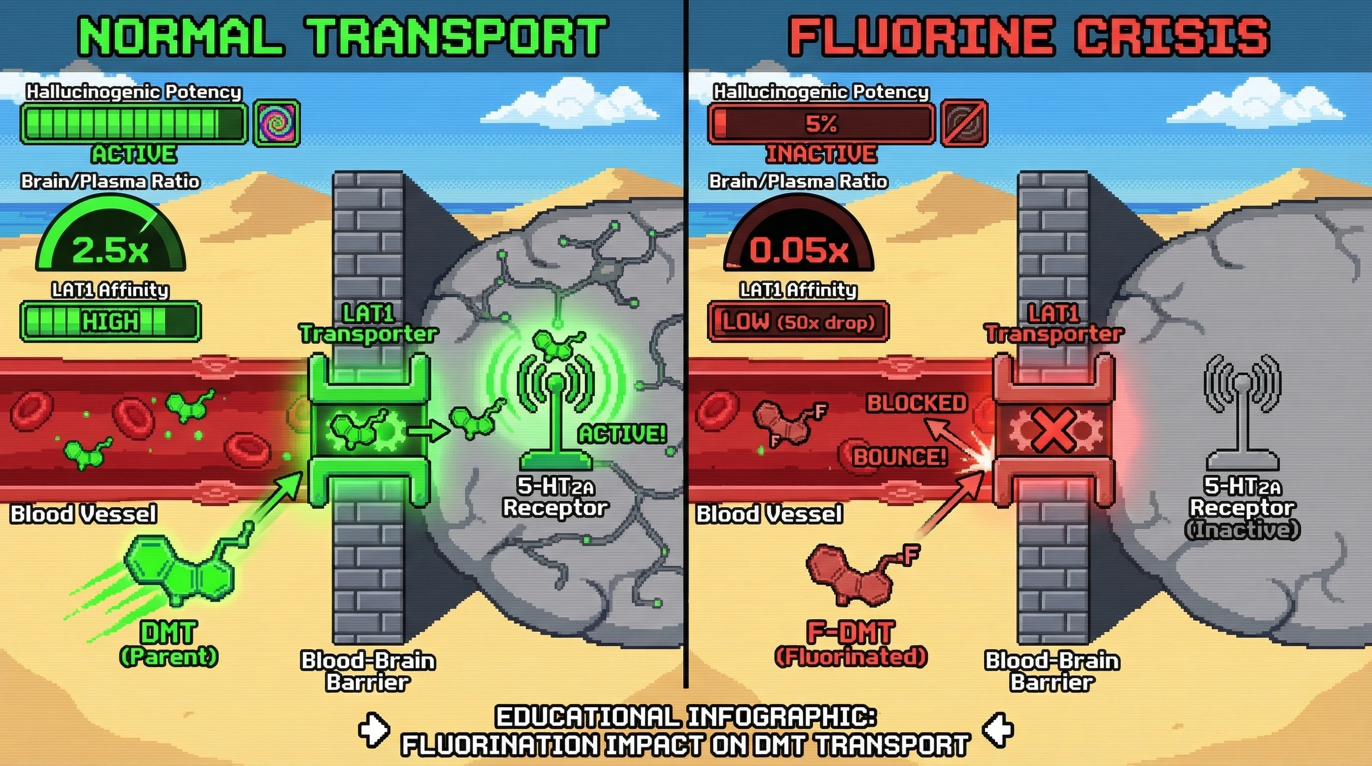 Infographic for: The Tryptamine Fluorine Paradox: Preserved Binding, Abolished Effects — A Cellular Transport Crisis