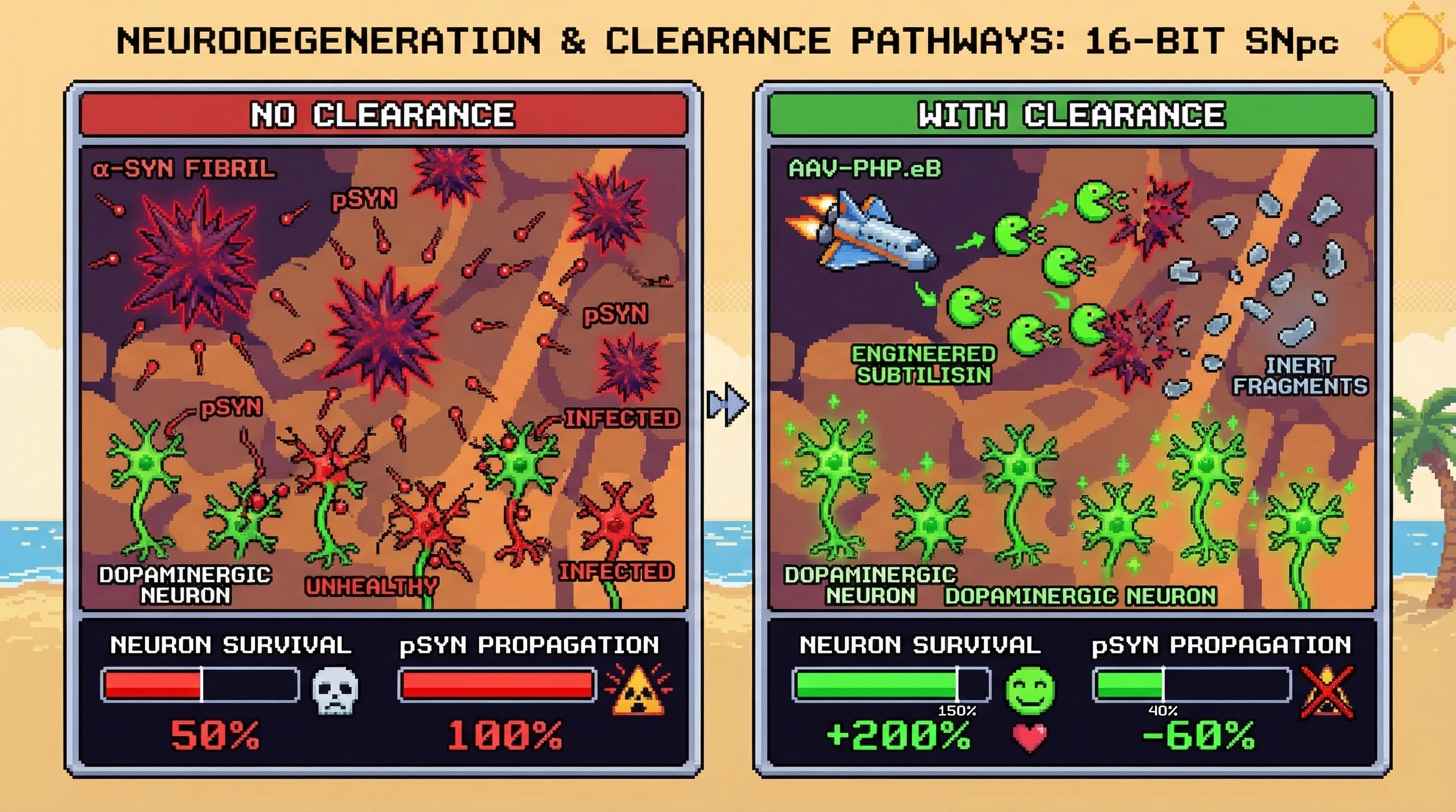 Infographic for: Pre-clearing nigral α-synuclein aggregates with AAV-delivered engineered subtilisin before iPSC-derived dopaminergic ...