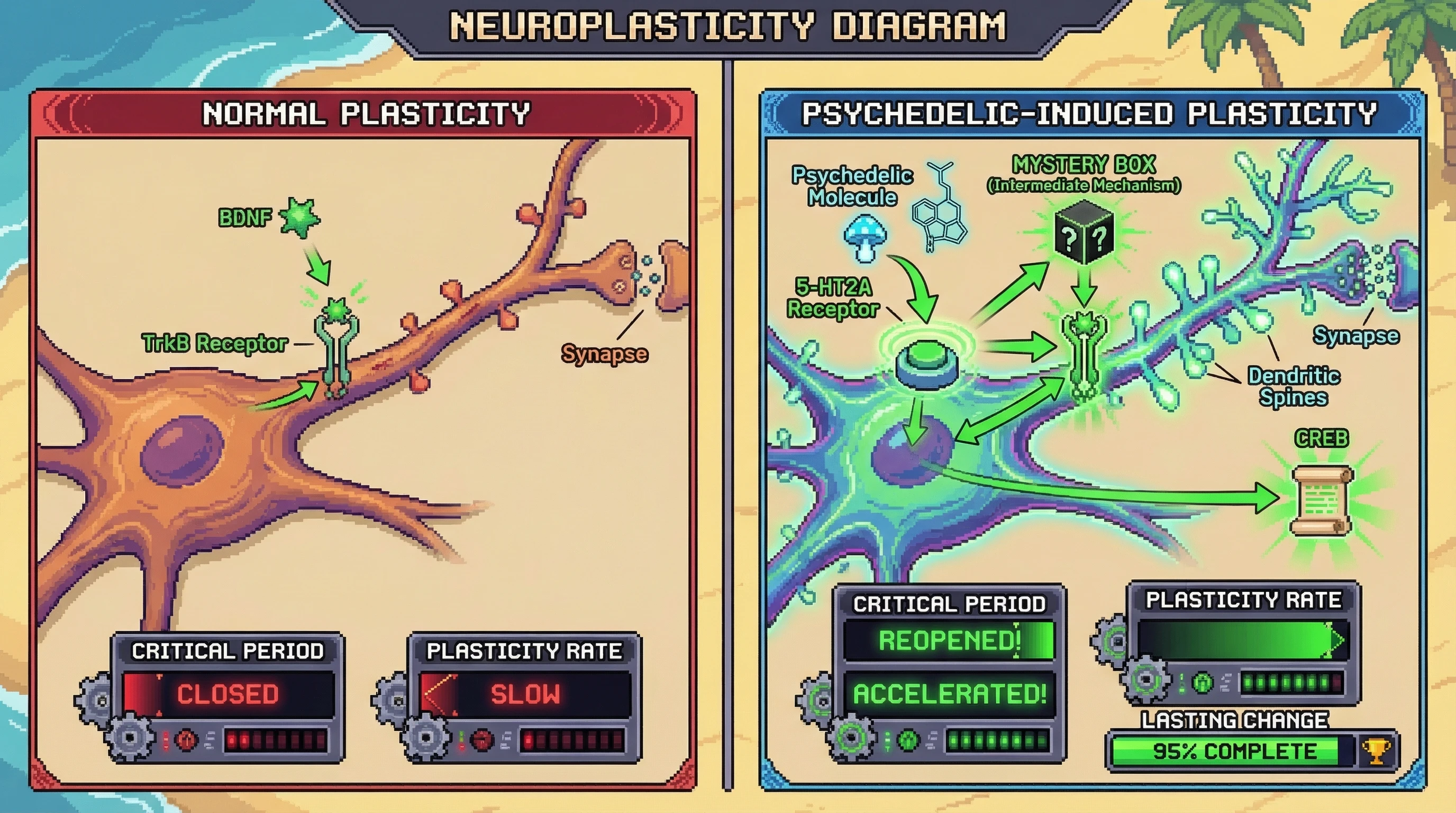 Infographic for: TrkB Is The Missing Link Between 5-HT2A Activation and Lasting Consciousness Change