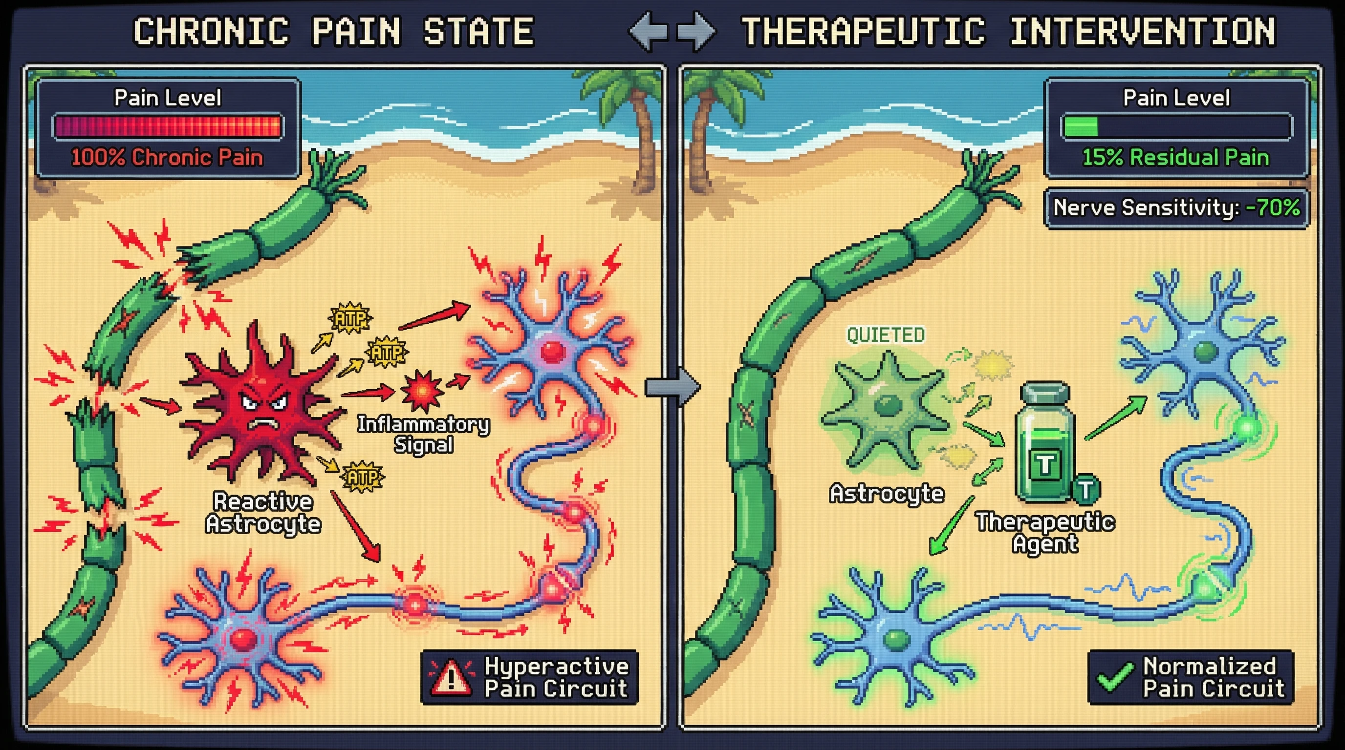 Infographic for: Reactive Astrocytes Lock In Chronic Pain Through ATP-Mediated Central Sensitization
