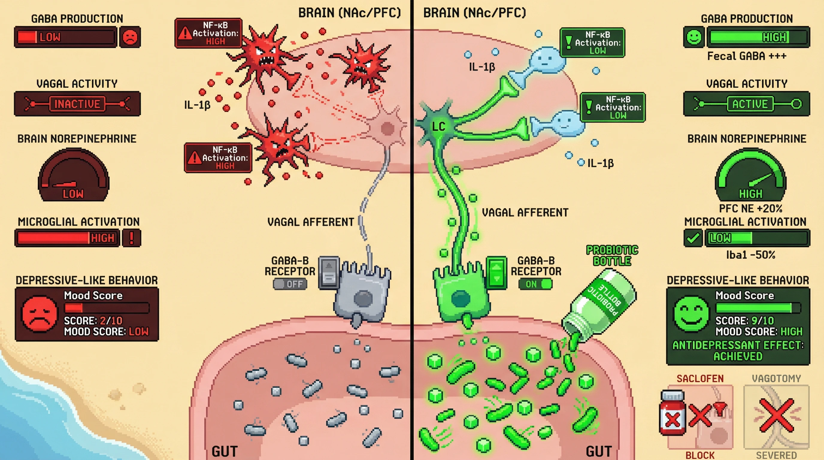 Infographic for: Strain‑specific vagal priming determines antidepressant efficacy of gut‑derived GABA