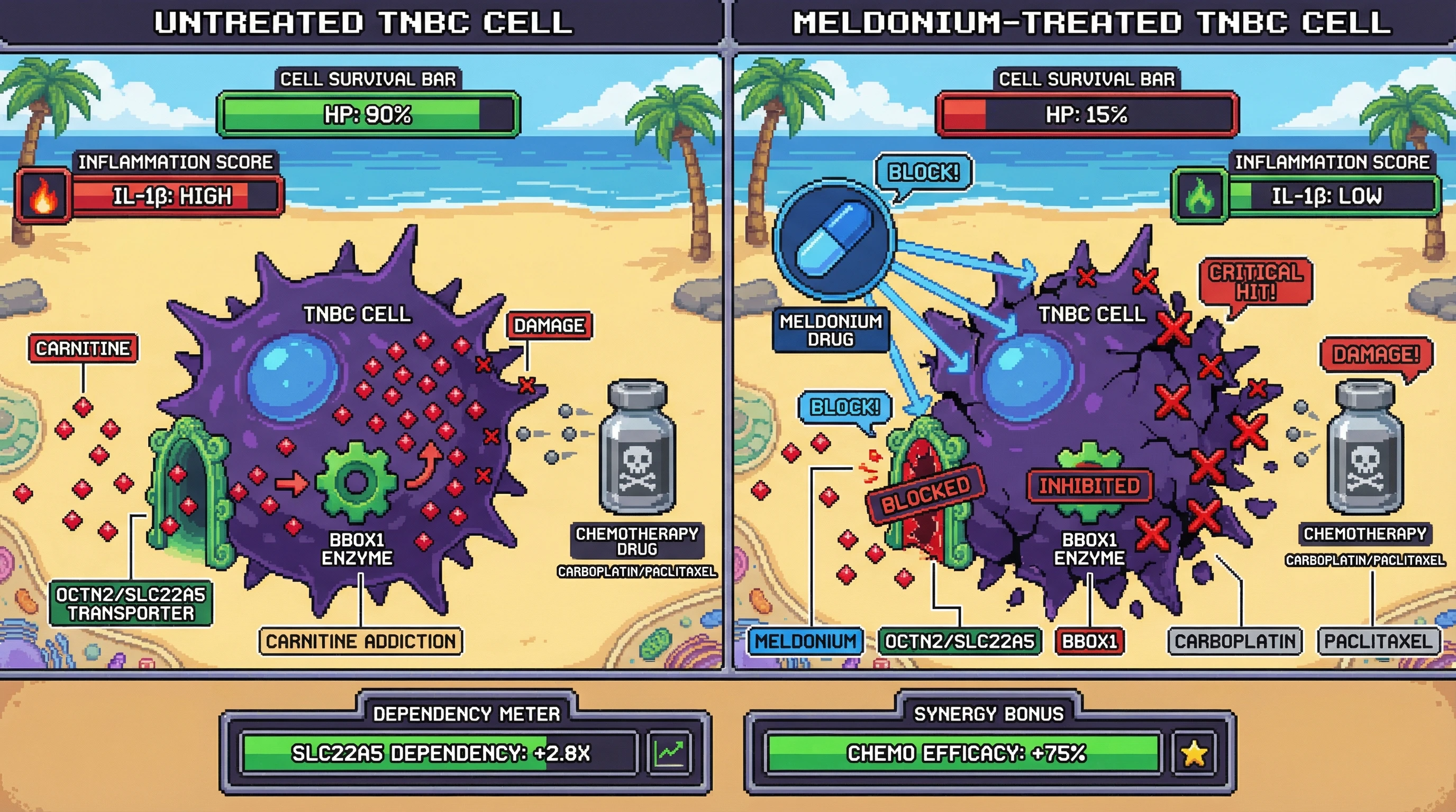 Infographic for: Meldonium, the Banned Athlete's Drug, May Be a Novel Chemotherapy Sensitizer in Triple-Negative Breast Cancer