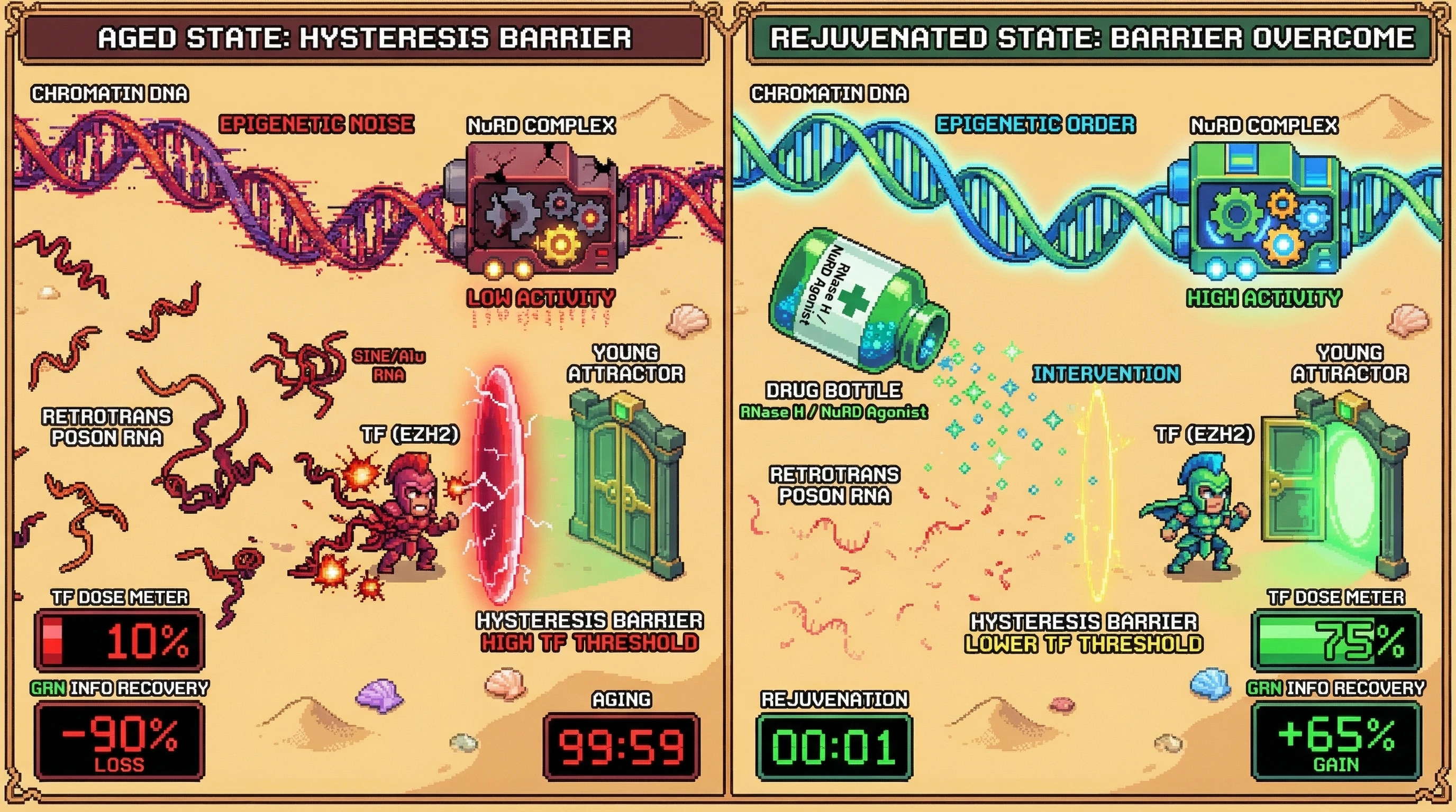 Mechanism: Epigenetic noise in aging leads to retrotransposon RNA accumulation, sequestering TFs and creating a hysteresis barrier that prevents network rejuvenation. Readout: Readout: Interventions reducing retrotransposon RNA or restoring NuRD complex activity lower the TF dose needed to restore youthful gene regulatory networks, improving information recovery.