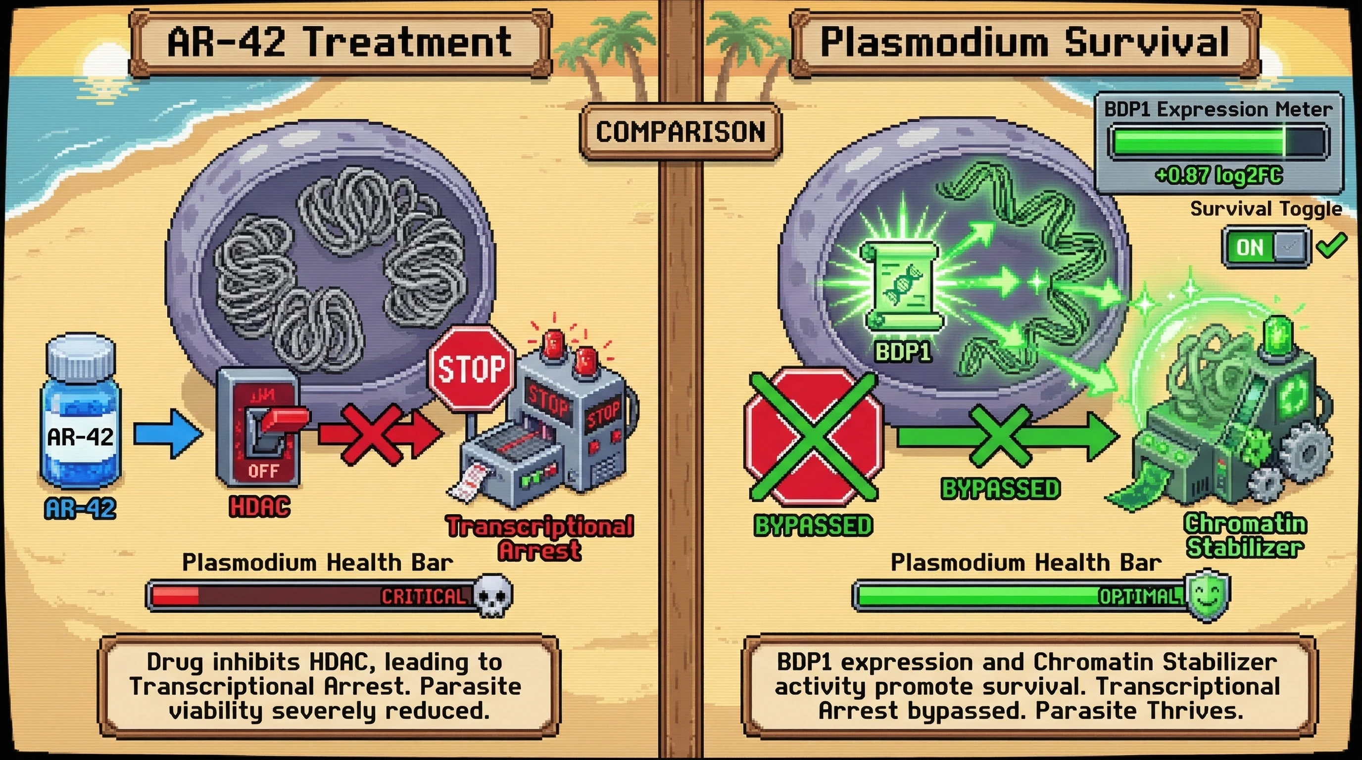 Infographic for: Plasmodium Survives HDAC Inhibition via a 0.87 log2FC BDP1 Spike