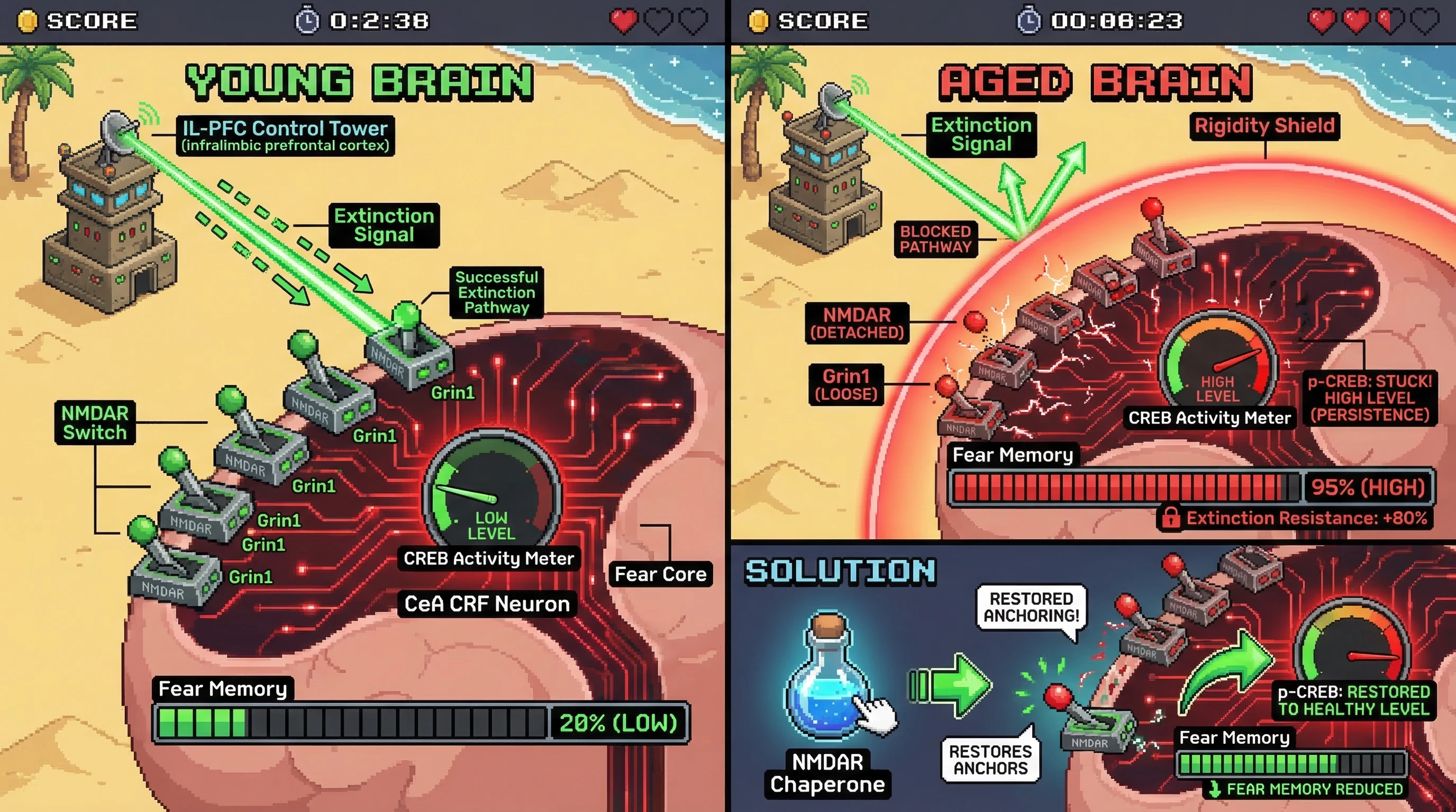 Infographic for: The CRF-CREB Proteostatic Drift Hypothesis: Age-Related Fear Persistence via NMDA Receptor-Dependent Epigenetic Reprogramming