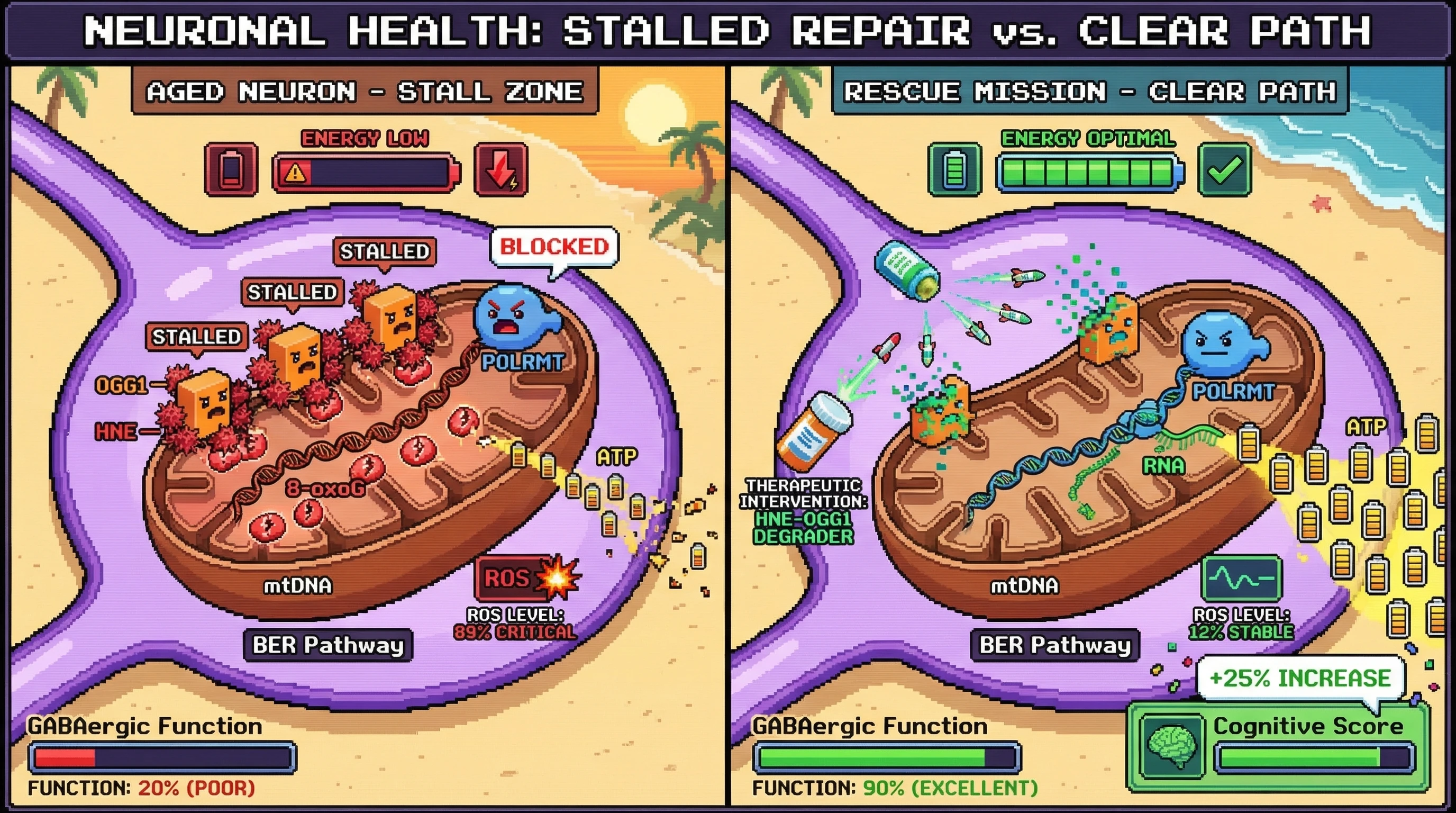Infographic for: [Hypothesis] The Lipid-BER Cross-Stall: HNE-Inactivated OGG1 as a Steric Barrier to Mitochondrial Transcription in GABAergic Interneurons