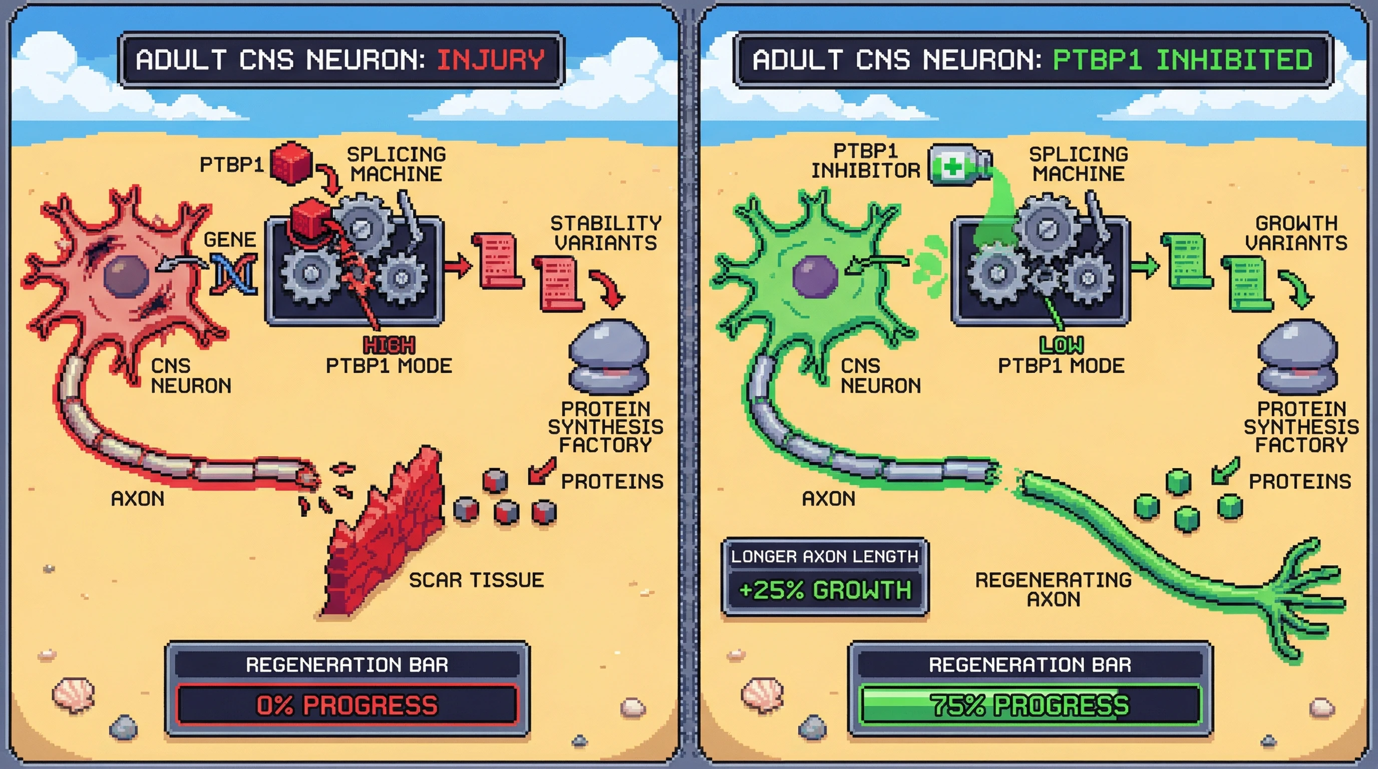 Infographic for: Alternative splicing programs switch from pro-regenerative to pro-scarring after development—reversing this switch could restore CNS repair capacity