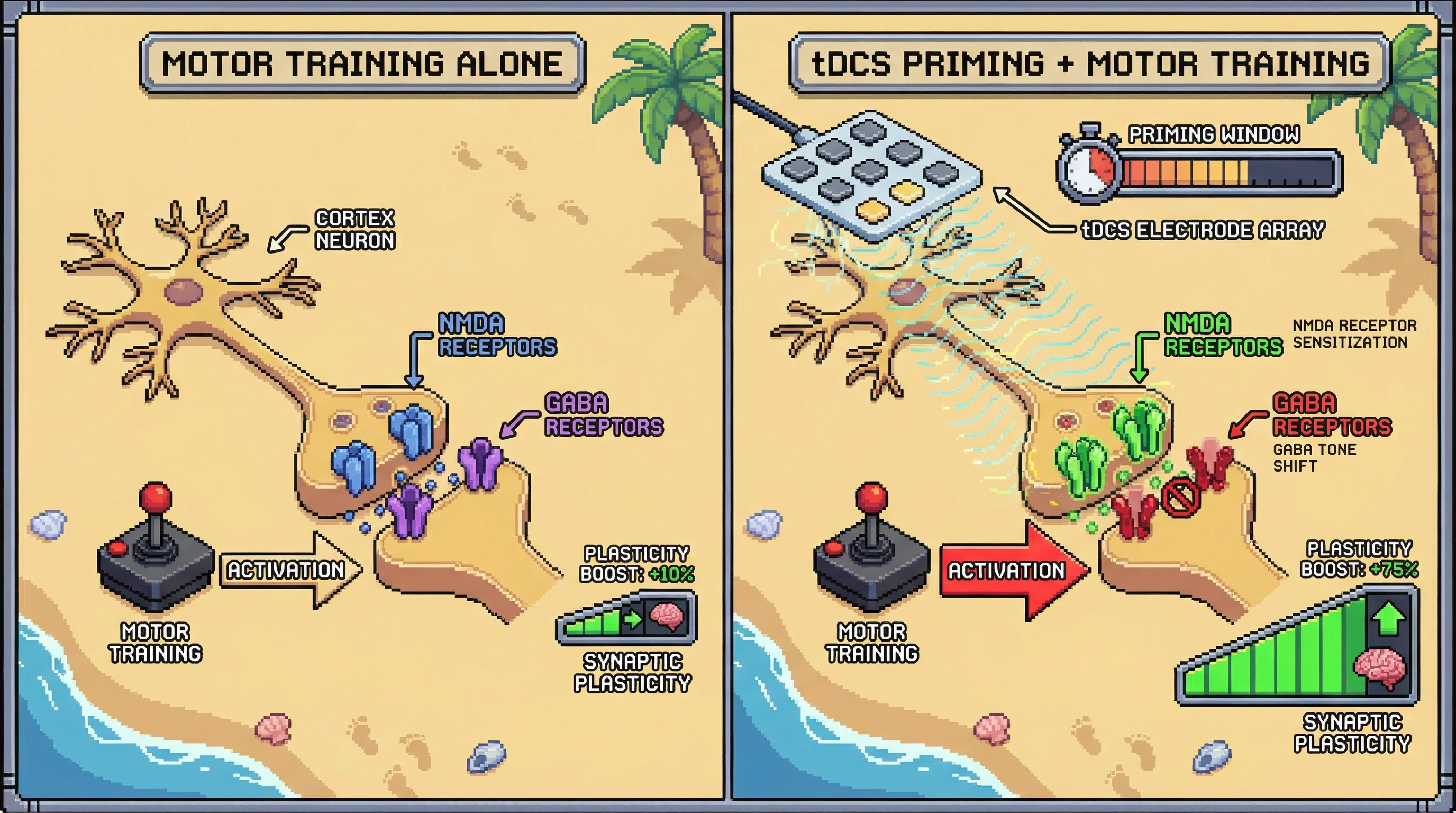 Infographic for: tDCS does not just "excite" the cortex—it primes NMDA receptors and shifts GABAergic tone to create windows where practice drives stronger plastic changes
