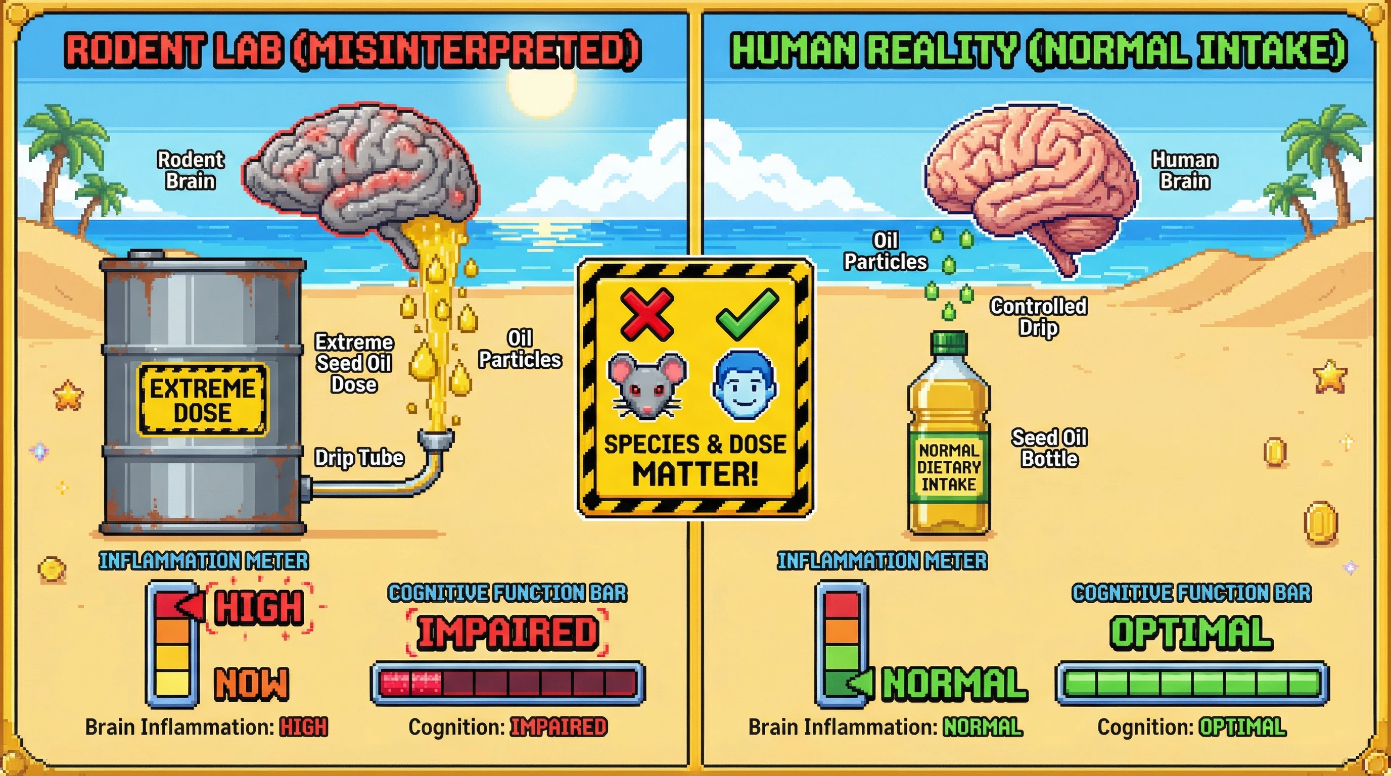 Infographic for: MISLEADING: Seed oils don't 'turn your brain into mayonnaise'