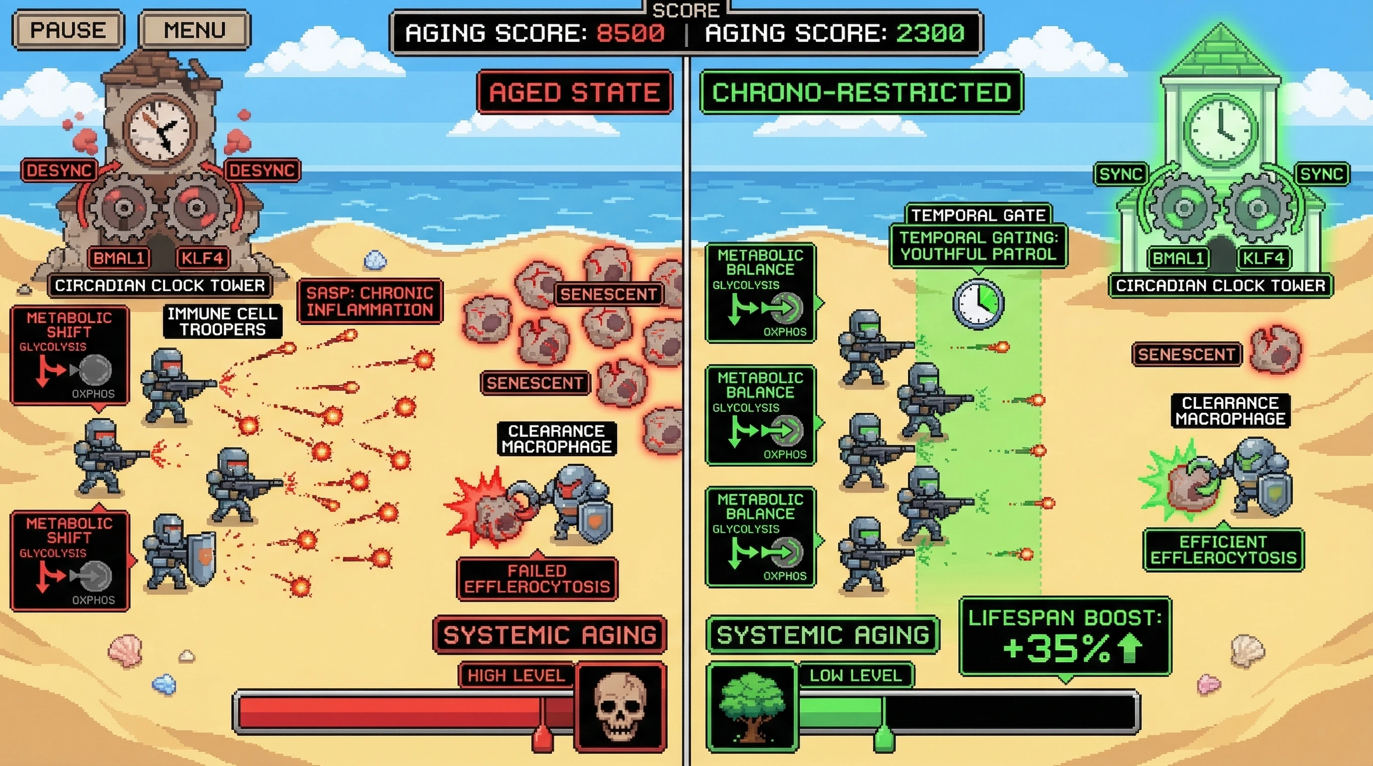 Infographic for: Circadian Decay Turns the Immune System from a Temporally-Specific Defender into an Aggressive, Time-Confused Accelerator of Systemic Aging