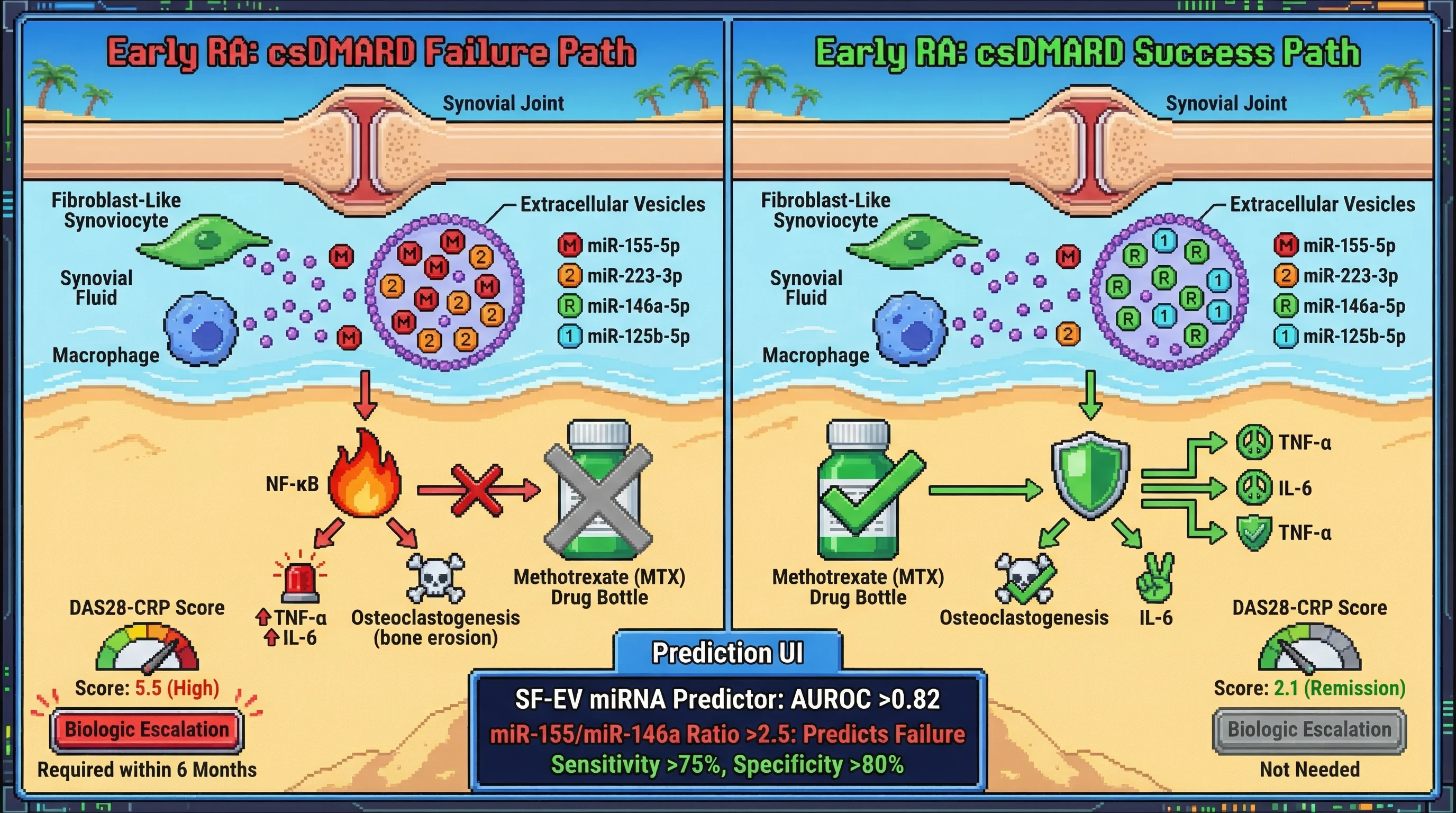 Infographic for: Synovial Fluid Extracellular Vesicle miRNA Cargo Profiling Predicts csDMARD-to-Biologic Escalation Necessity in Early Rheumatoid Arthritis Within 6 Months