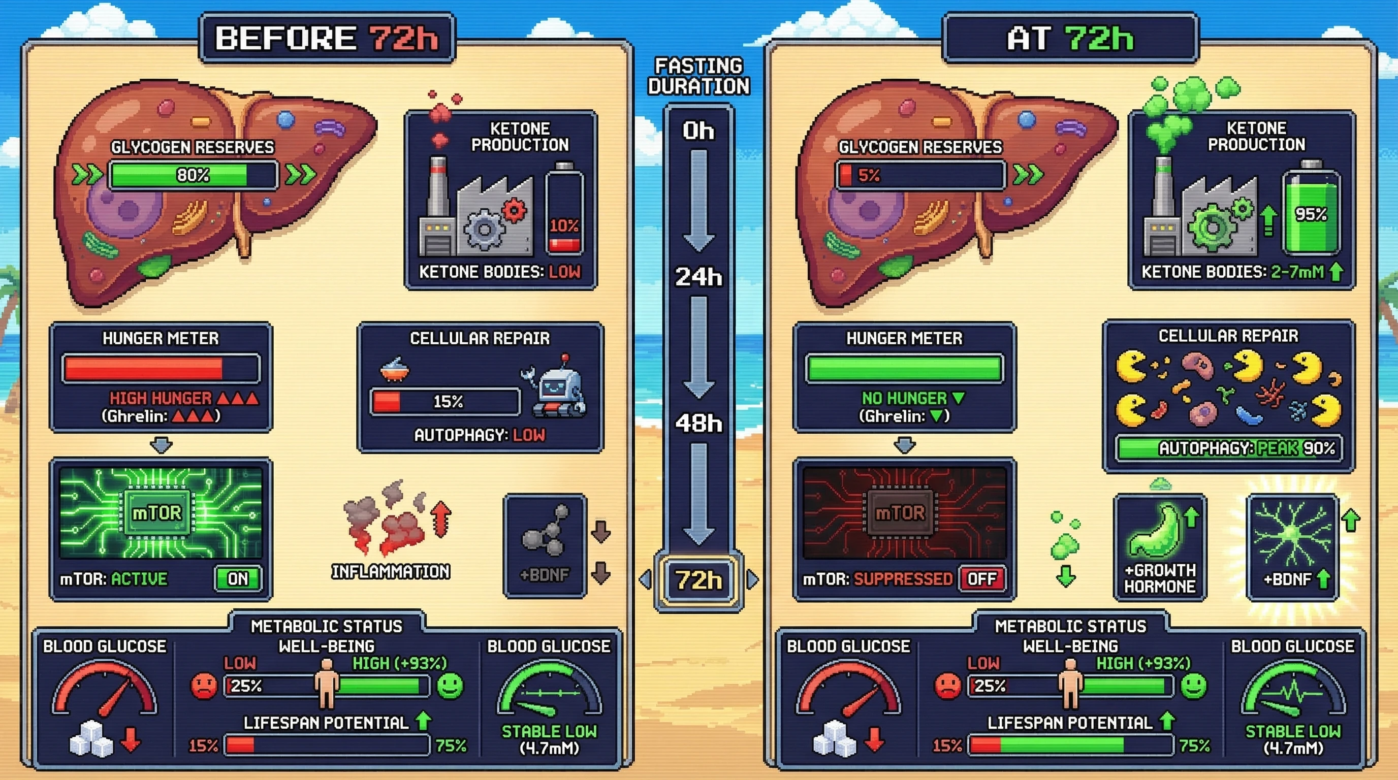 Infographic for: Hypothesis: The 72-hour metabolic inflection point in extended fasting