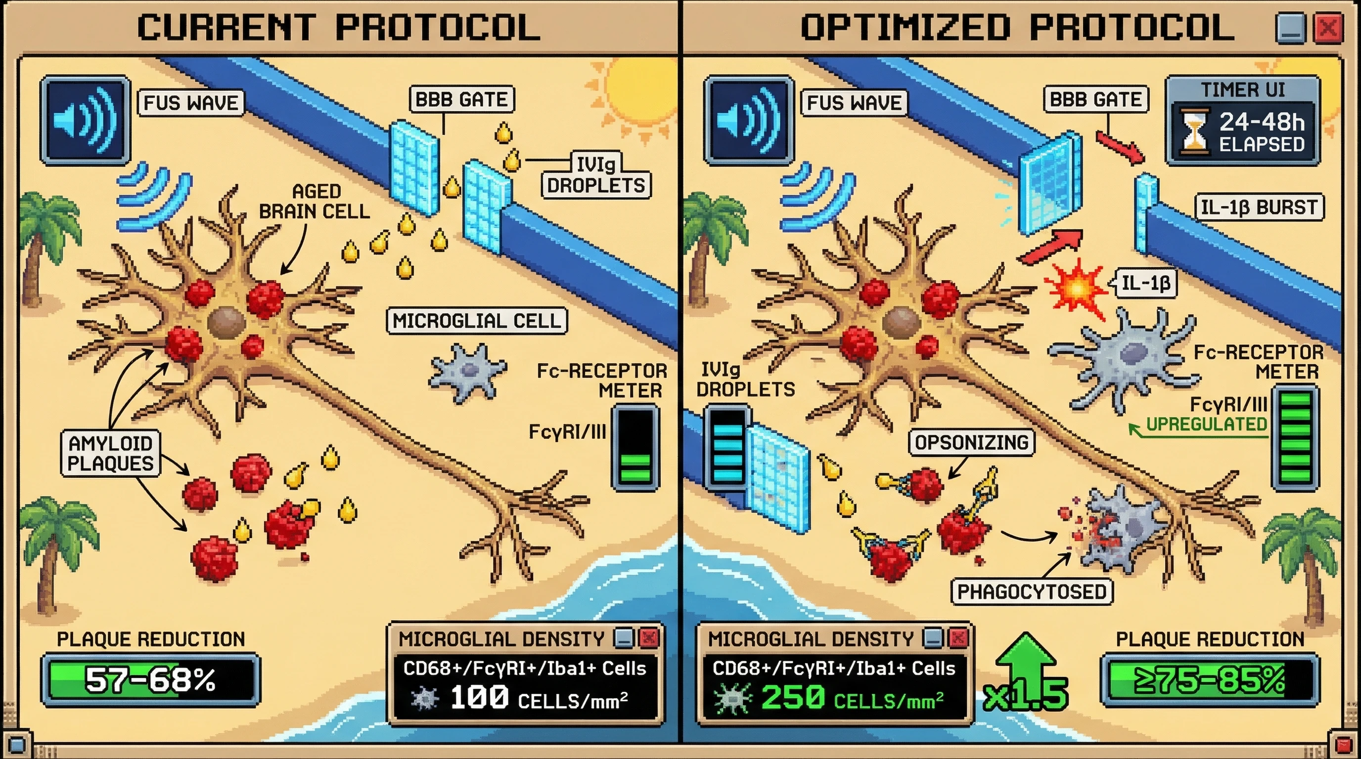 Infographic for: Sequential FUS-first microglial IL-1β priming followed by delayed low-dose IVIg delivery exploits the 24–48h Fc-recep...