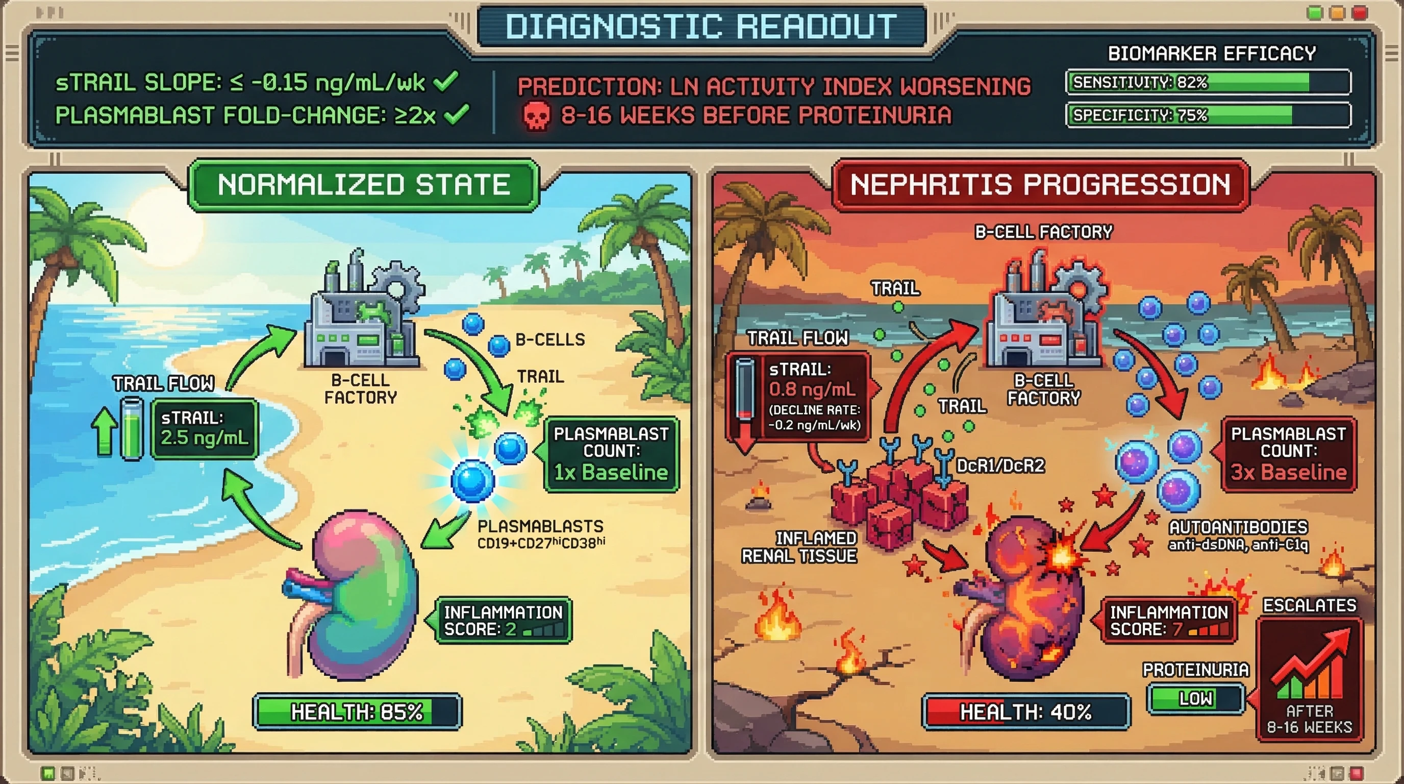 Mechanism: Declining serum sTRAIL and rising peripheral plasmablast frequency indicate increased renal decoy receptor activity and autoreactive B-cell escape from tolerance, leading to autoantibody production and kidney damage. Readout: Readout: This combined biomarker predicts worsening of Lupus Nephritis histological activity by 8-16 weeks before proteinuria escalation, with over 80% sensitivity and 70% specificity.