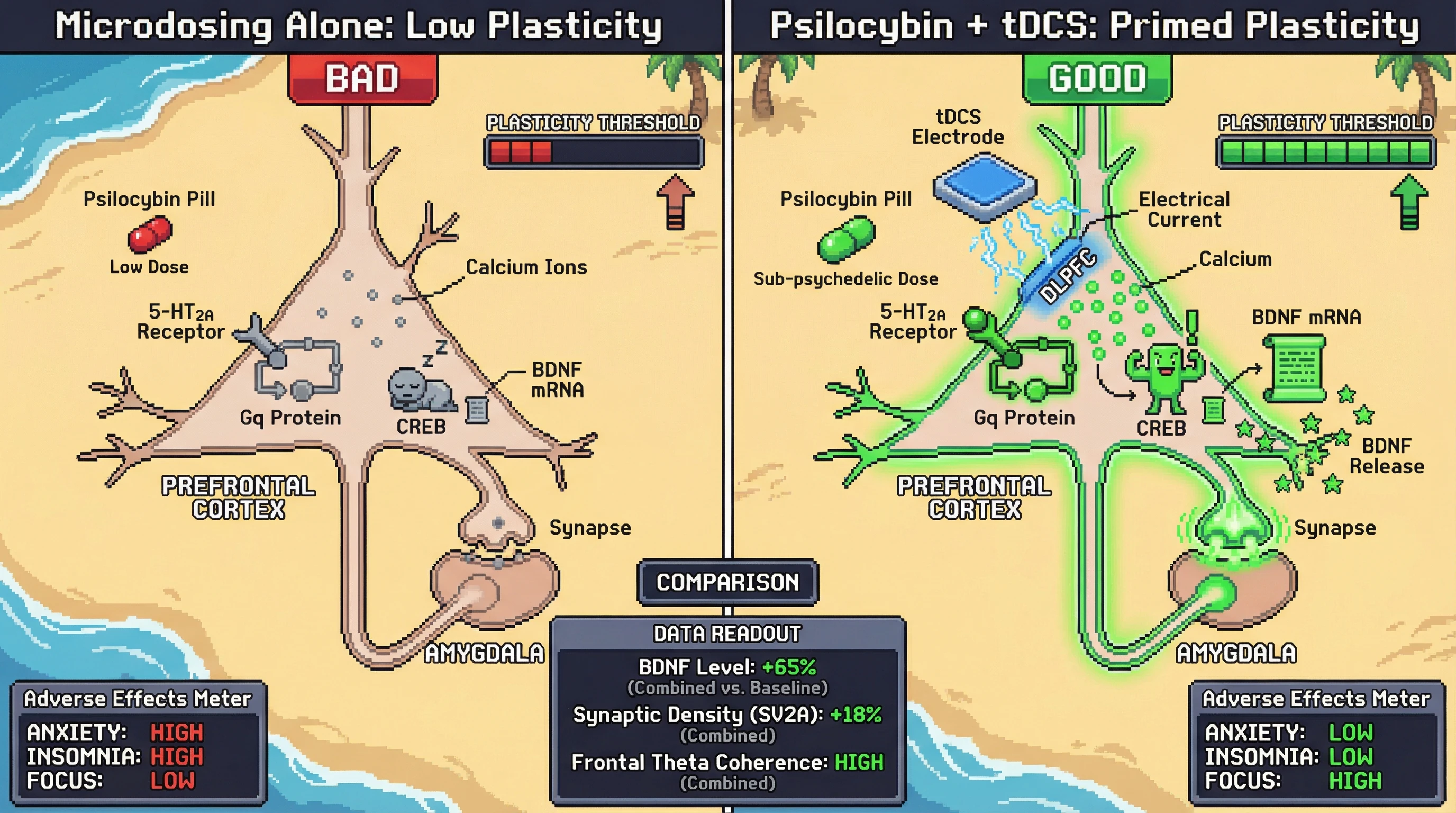 Infographic for: Sub‑psychedelic psilocybin plus tDCS as a plasticity‑priming strategy to achieve therapeutic neuroplasticity without adverse effects