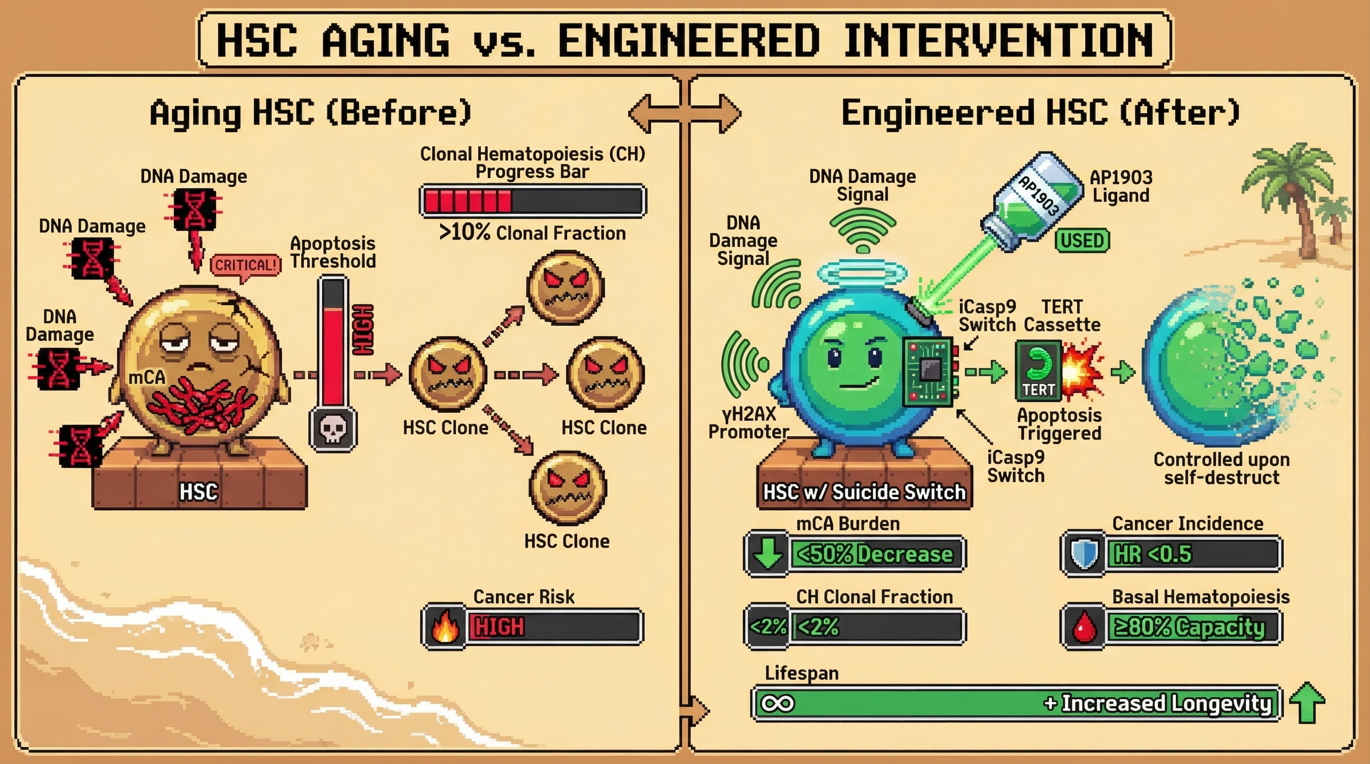 Infographic for: Inducing Germline-Level Selection in Somatic Stem Cells to Suppress Mosaic Chromosomal Alterations and Clonal Hematopoiesis