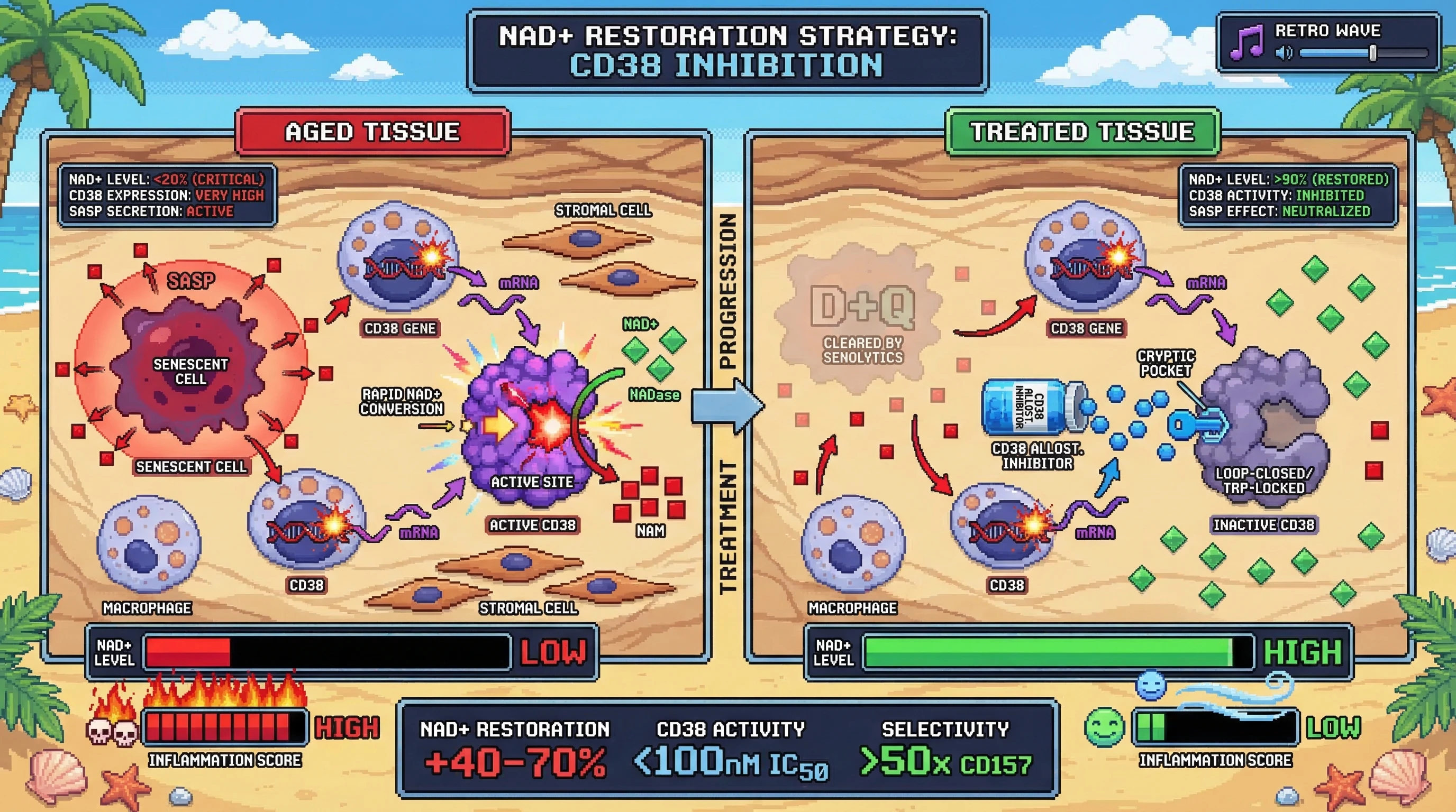 Infographic for: An MD-guided allosteric inhibitor targeting a cryptic CD38 loop-interface pocket, designed using AlphaFold ensemble a...