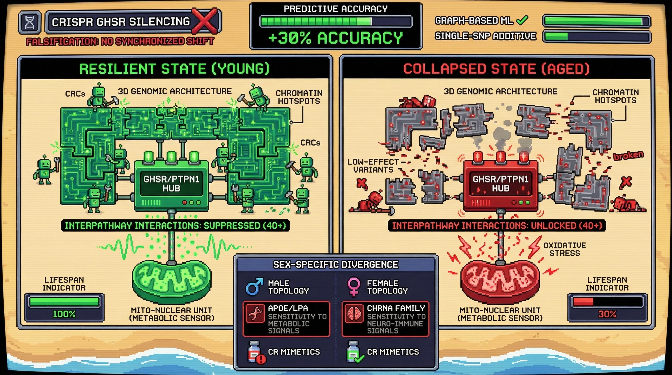 Infographic for: The Hub-Switch Hypothesis: Sex-Specific Epistatic Gating of Conserved Regulatory Hotspots as the Determinant of Individual Longevity Trajectories