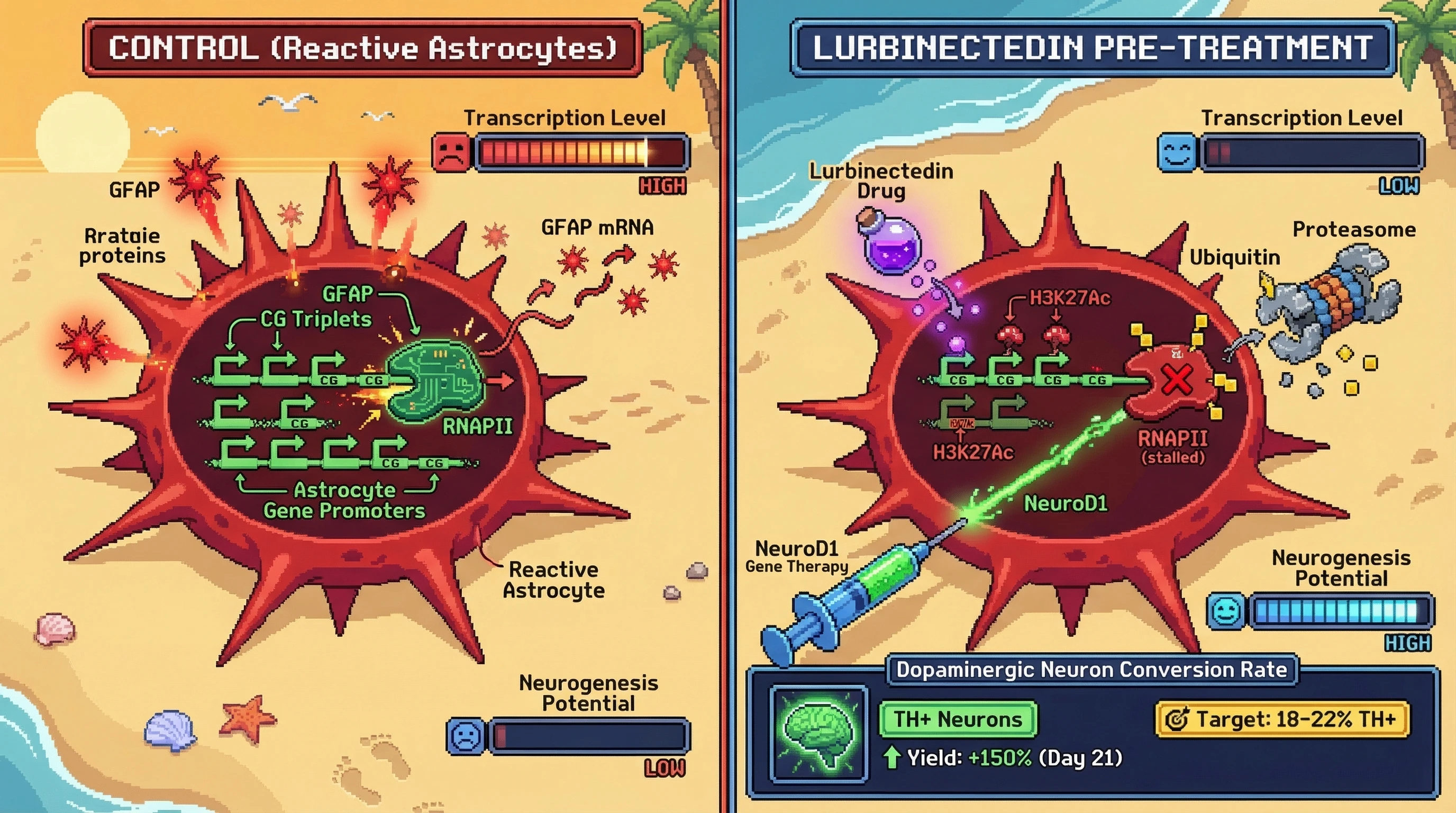 Mechanism: Lurbinectedin pre-treatment stalls RNAPII at astrocyte identity gene promoters, reducing their transcription and remodeling chromatin. Readout: Readout: This primes reactive astrocytes for NeuroD1-mediated conversion, increasing TH-positive dopaminergic neuron yield by 150% at day 21.