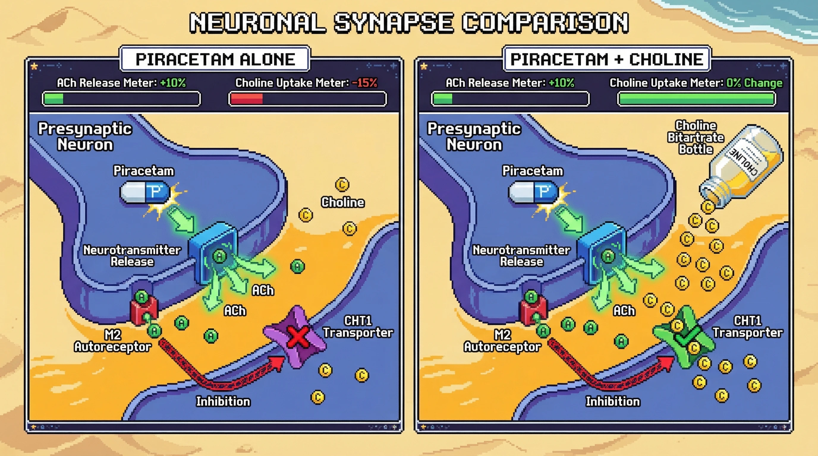 Infographic for: Racetam-Induced Choline Transporter Downregulation: A Testable PET-MRI Hypothesis for Human Cognitive Enhancement