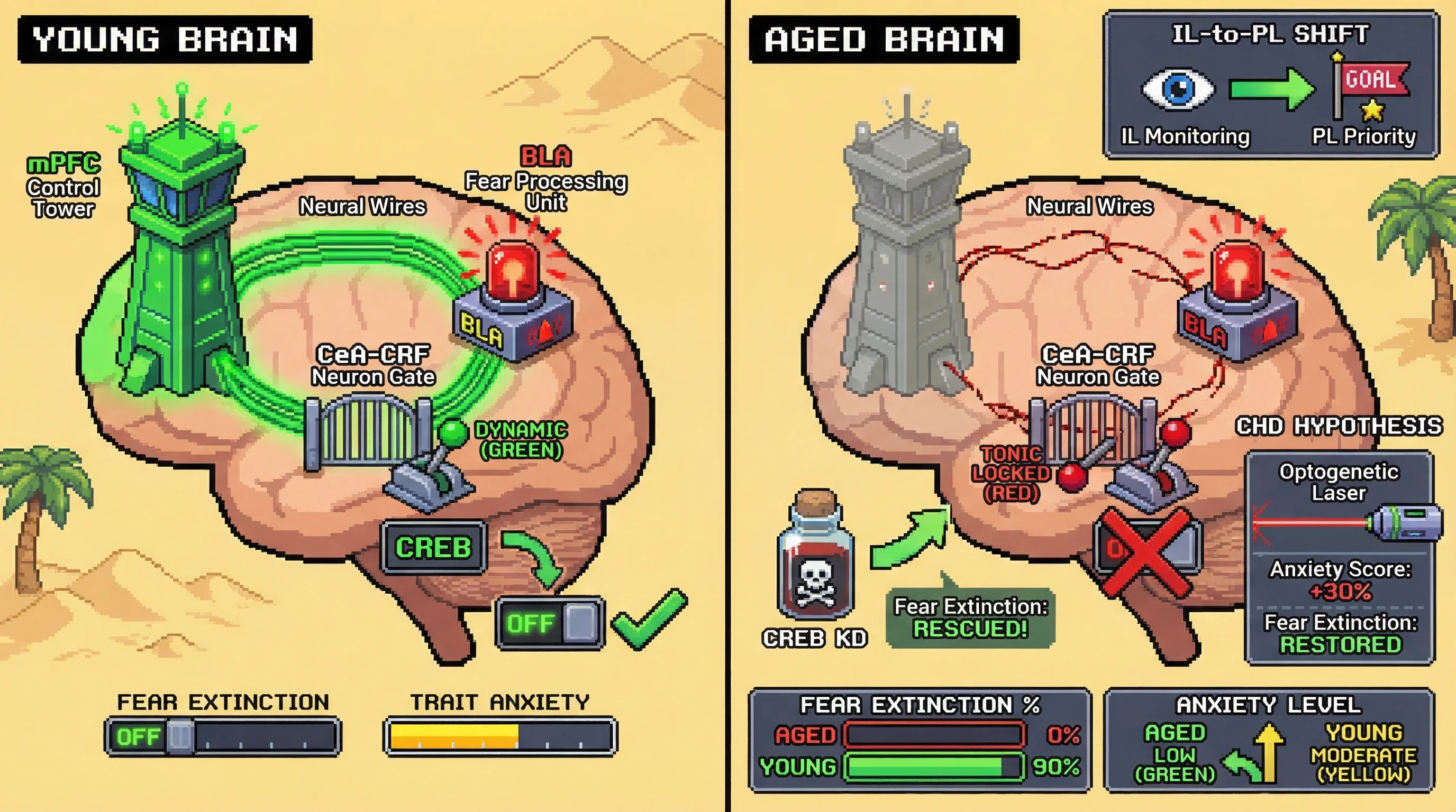 Infographic for: The 'Resilient Decoupling' Hypothesis: Competitive CREB-Dynamics and Mismatched Synaptic Scaling in Aging
